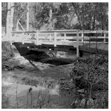 Applsci 14 09785 i036