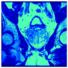 Applsci 14 09785 i089