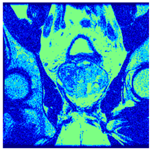 Applsci 14 09785 i090