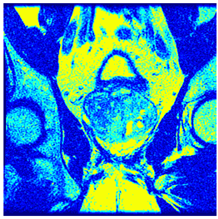 Applsci 14 09785 i092