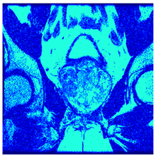 Applsci 14 09785 i095