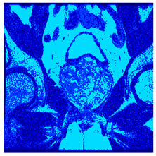 Applsci 14 09785 i097