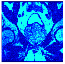 Applsci 14 09785 i098