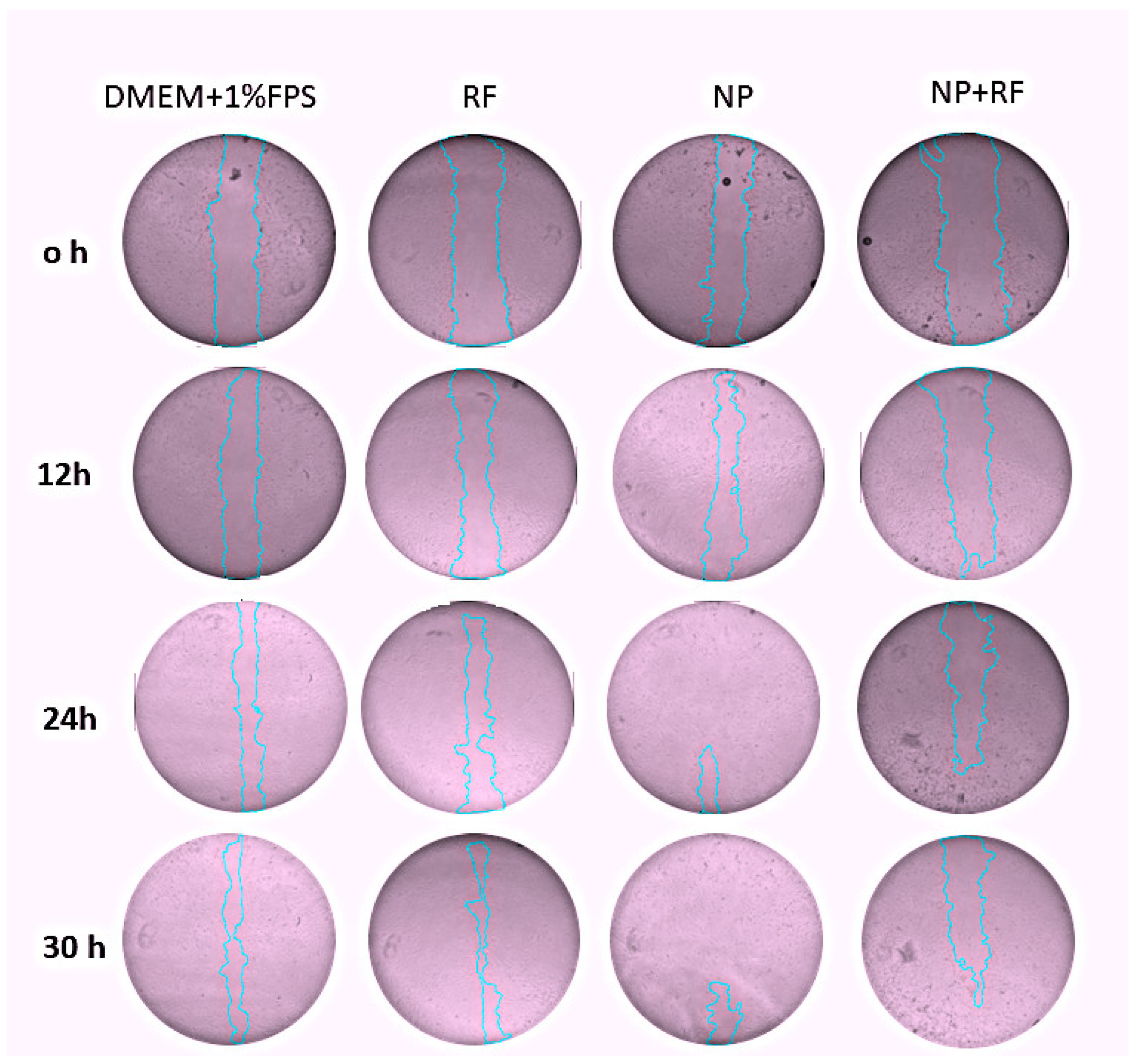 Applsci 14 09799 g007