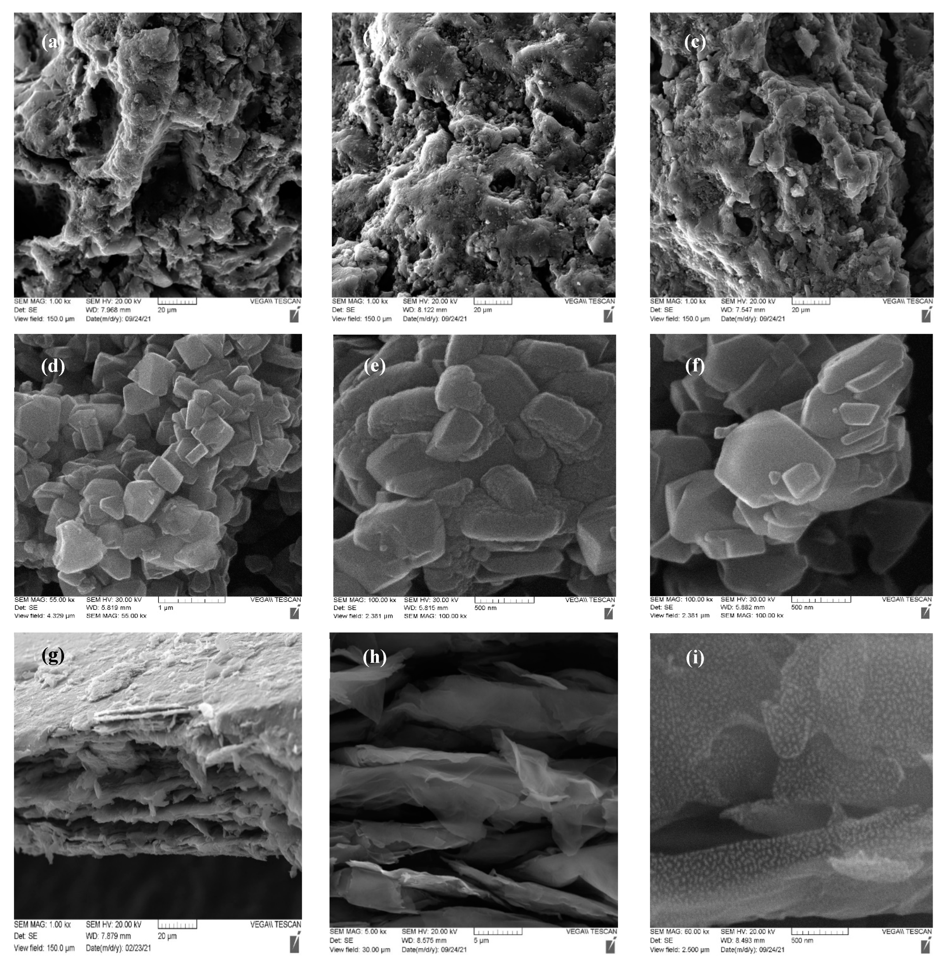 Applsci 14 09811 g001