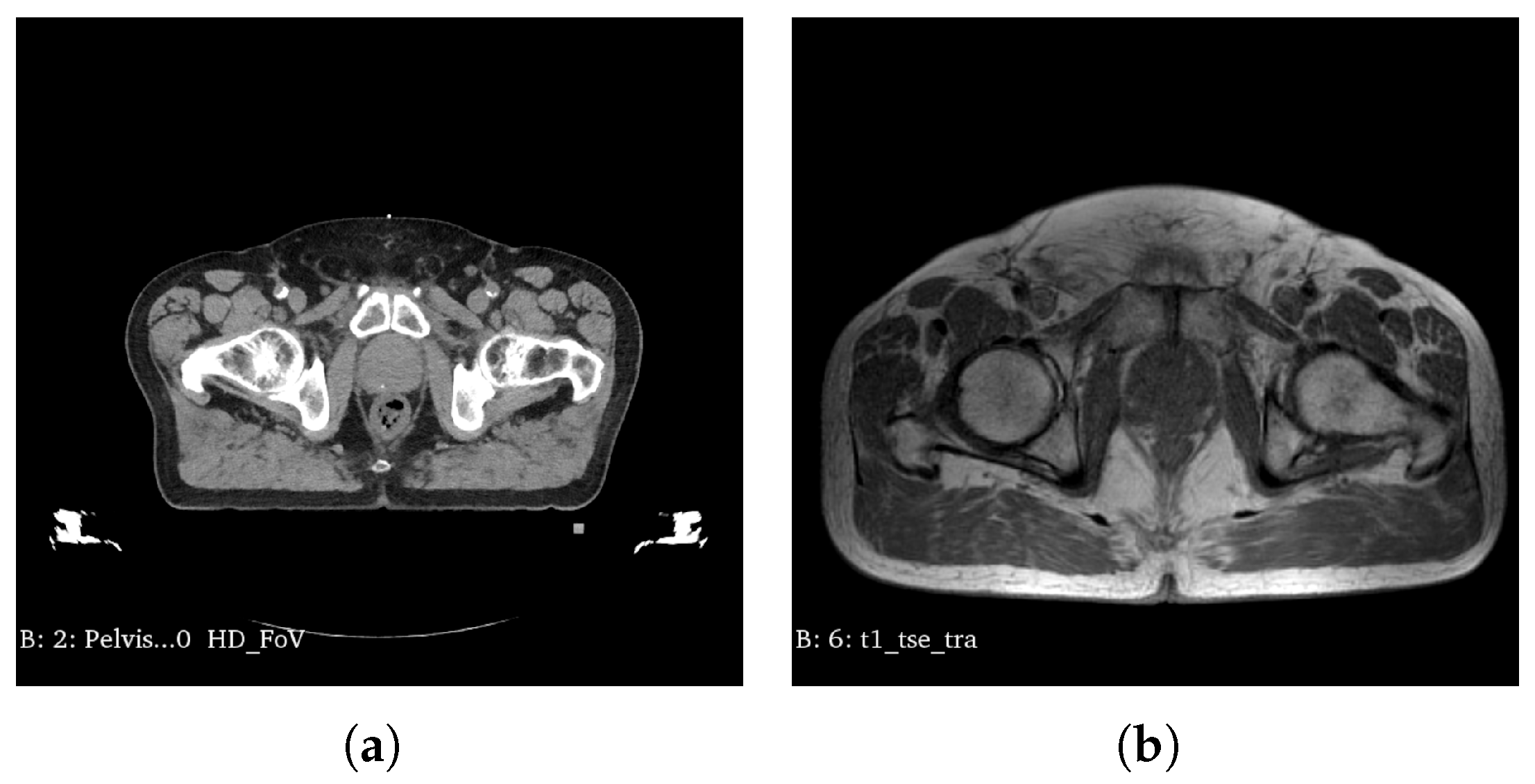 Applsci 14 09814 g001