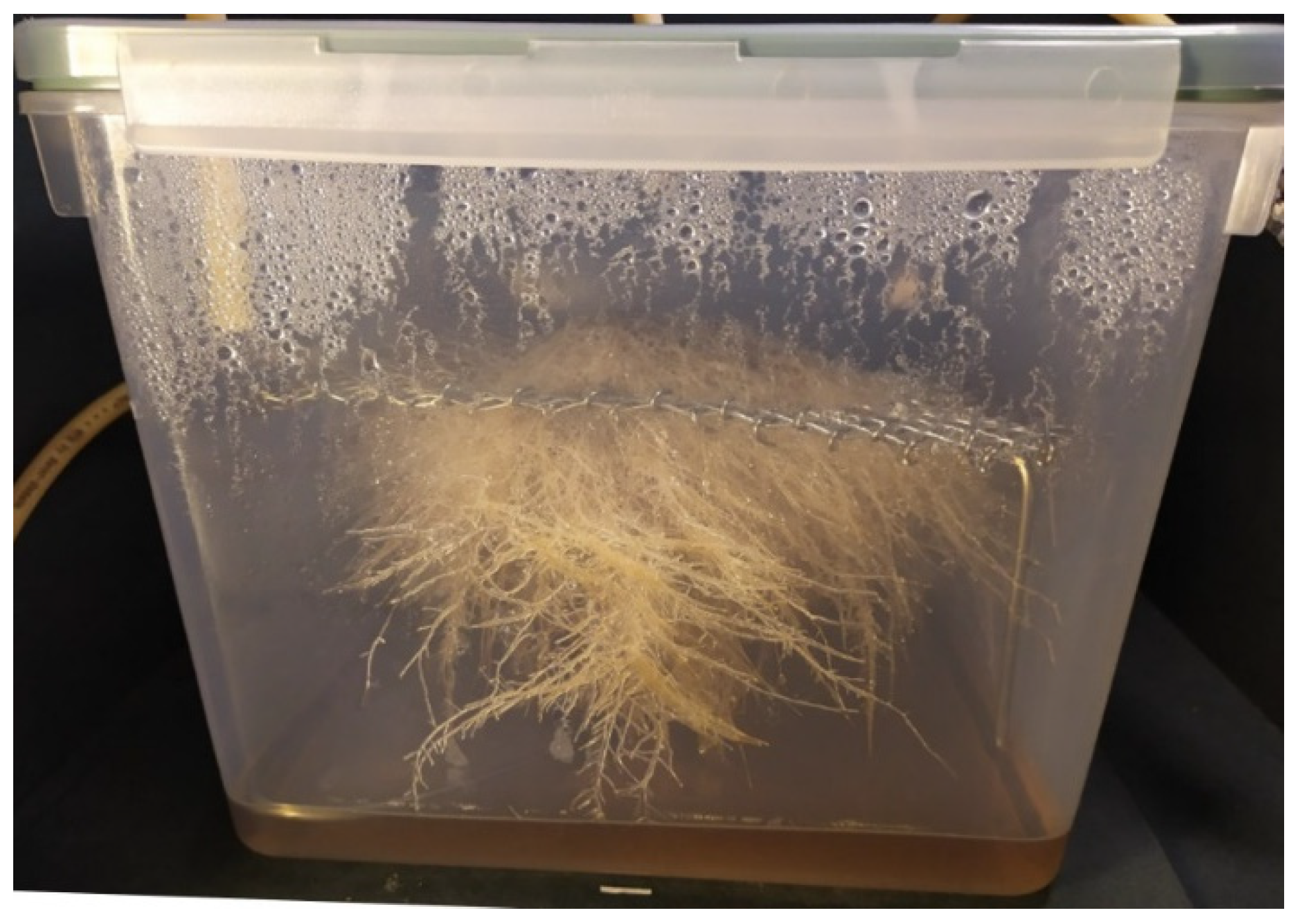 Applsci 14 09827 g005 Applsci 14 09827 g005