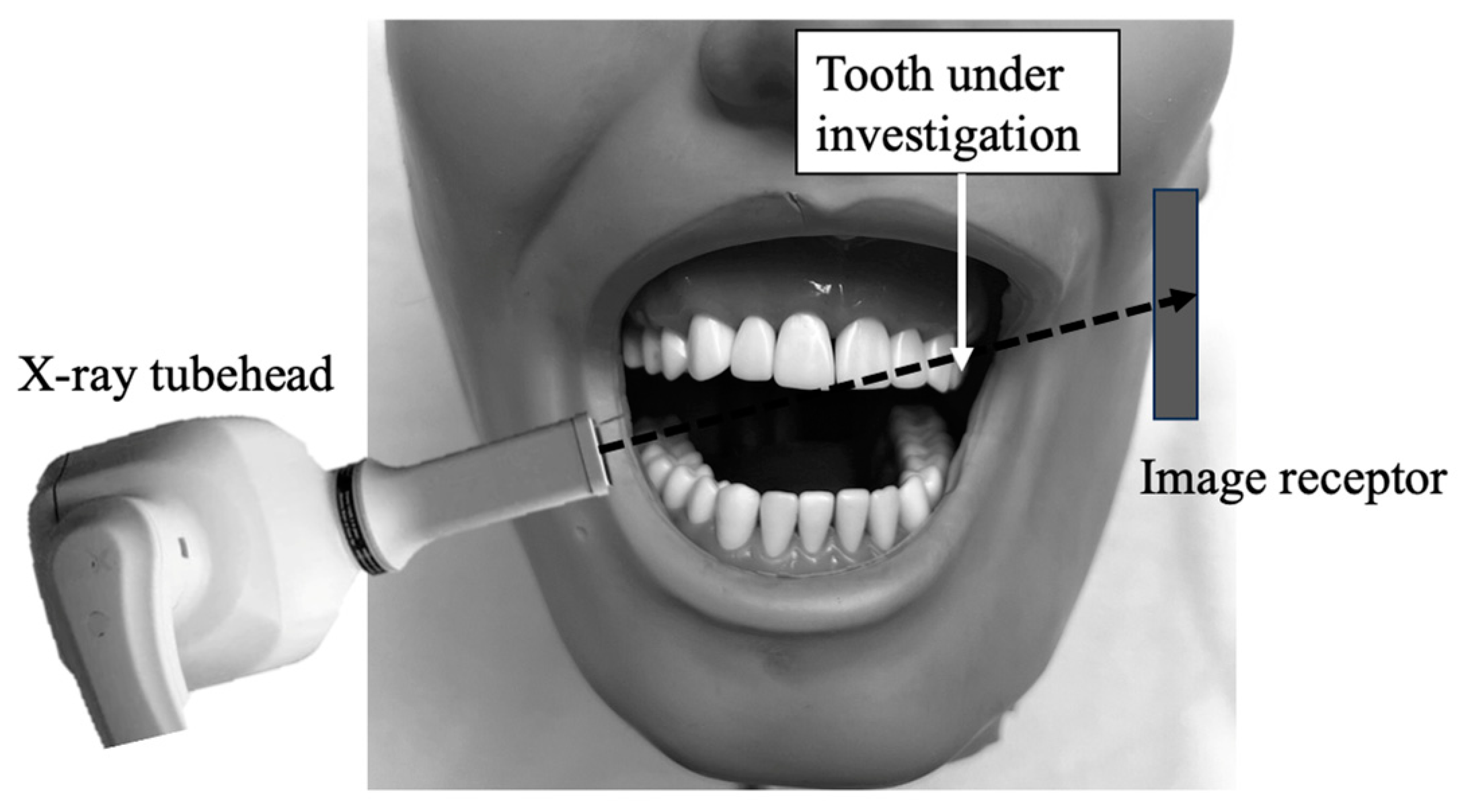 Applsci 14 09850 g001 Applsci 14 09850 g001