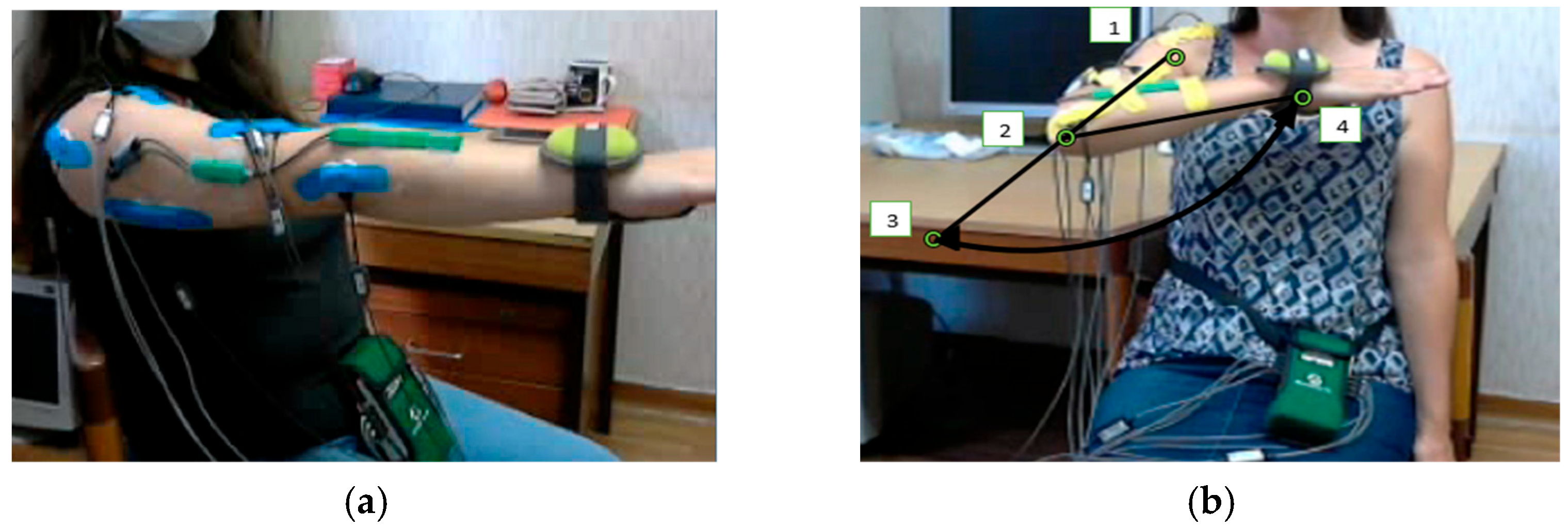 Applsci 14 09864 g001