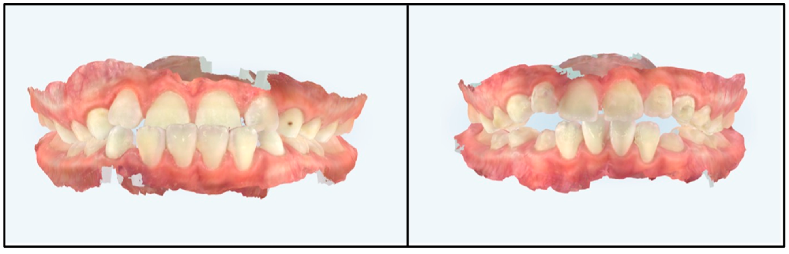 Applsci 14 09871 g001