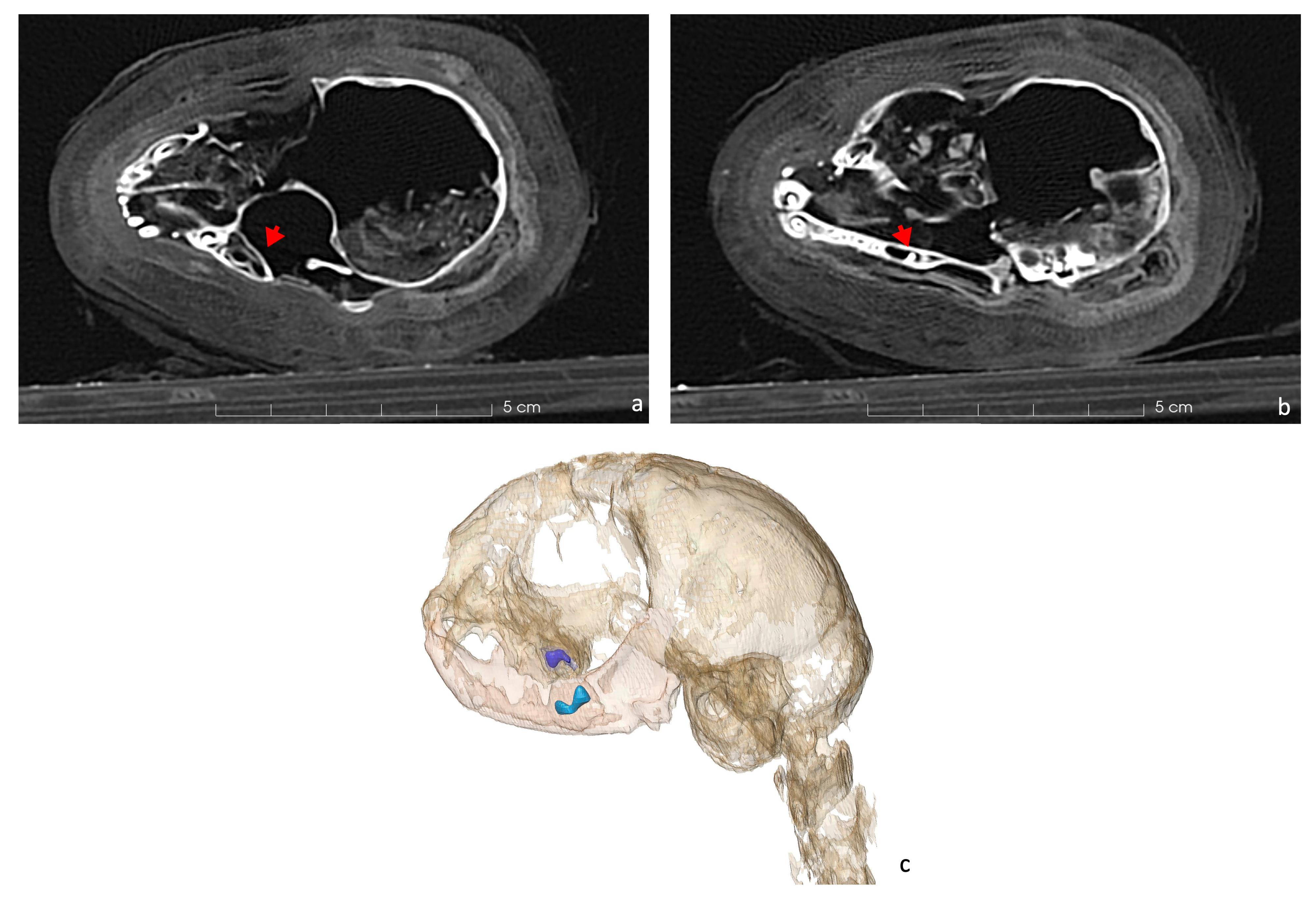 Applsci 14 09882 g003