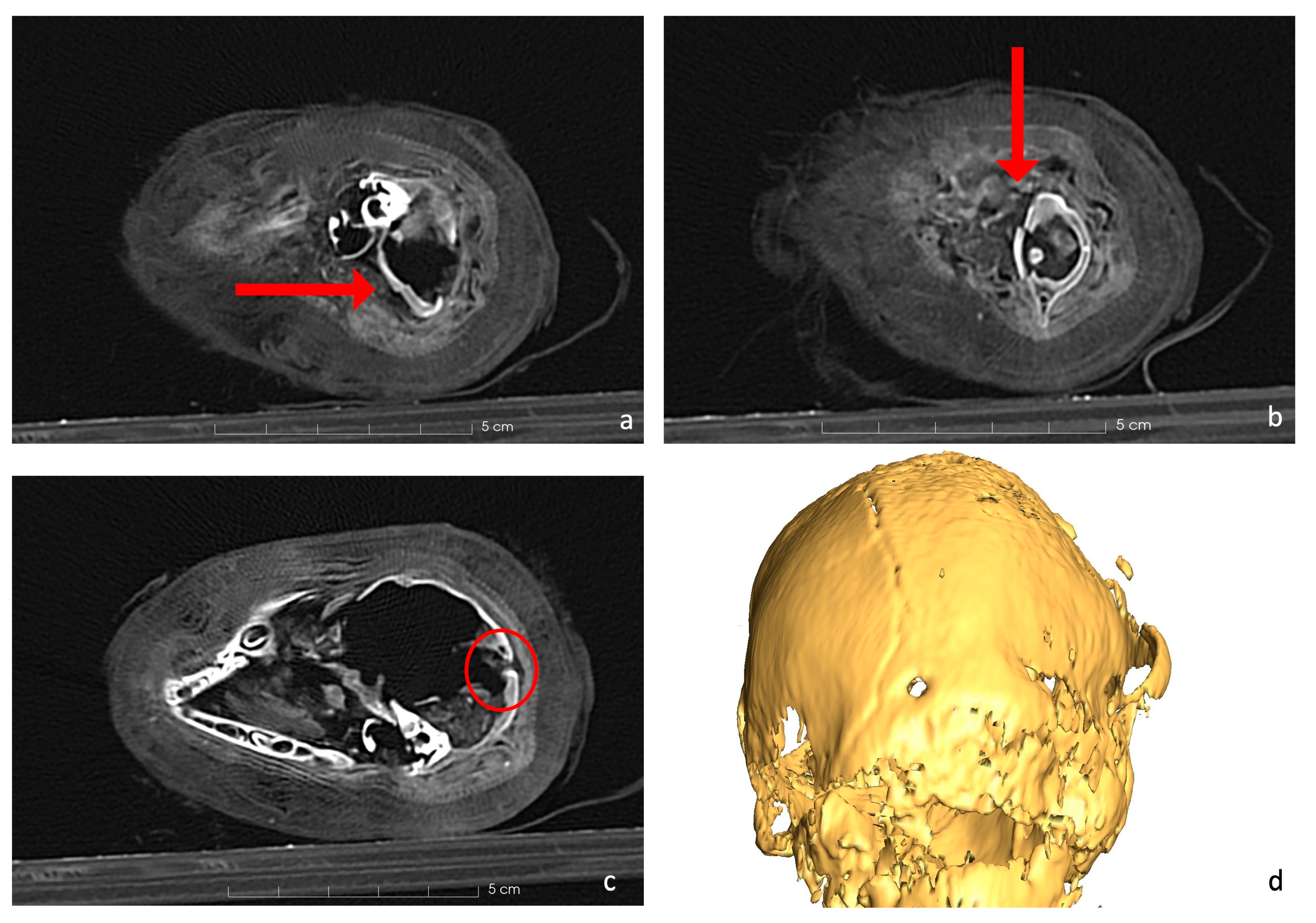 Applsci 14 09882 g005