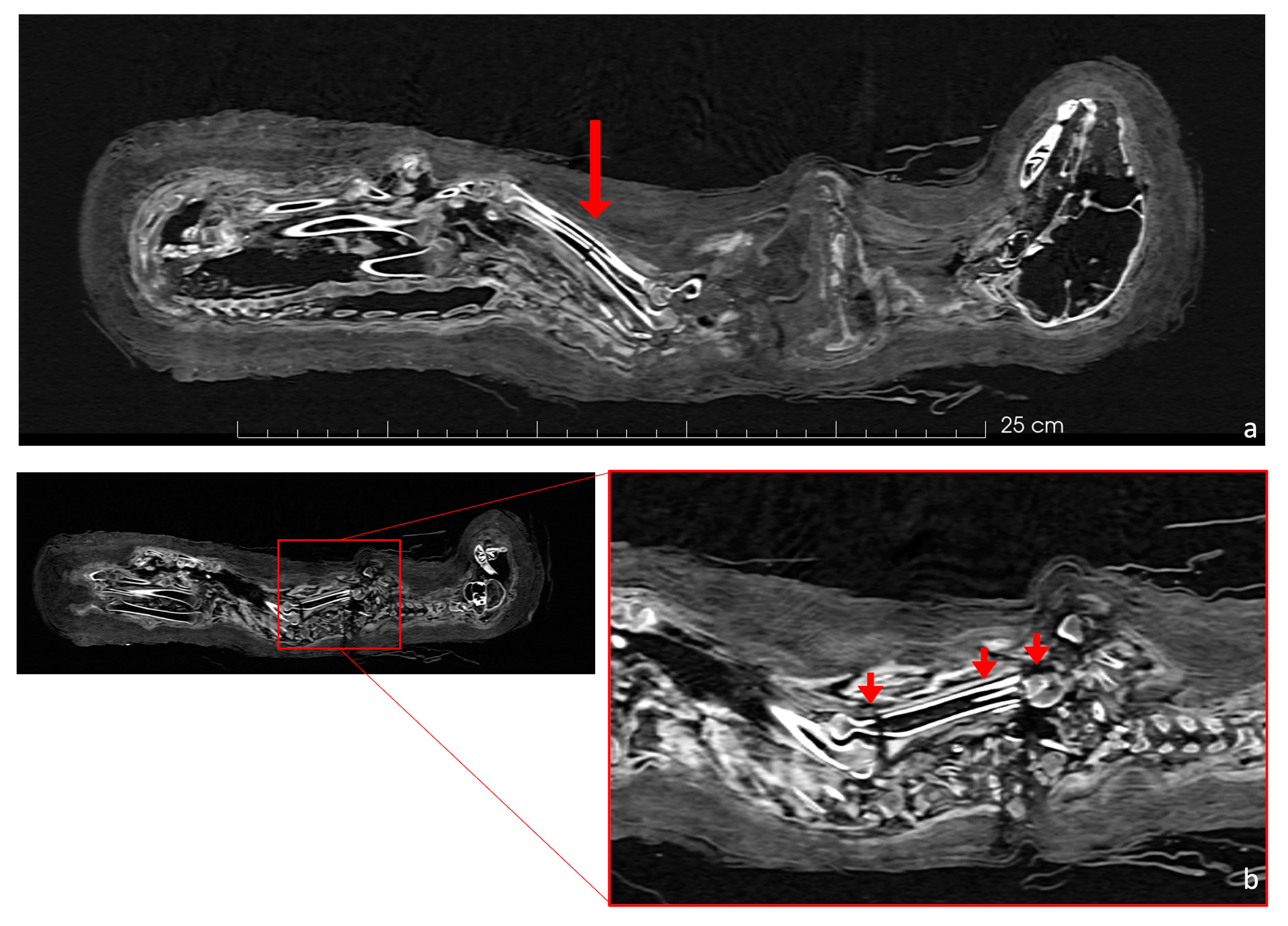 Applsci 14 09882 g006