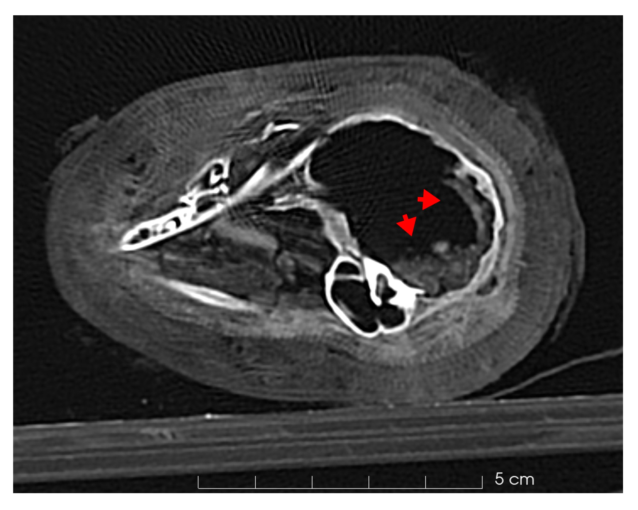 Applsci 14 09882 g008