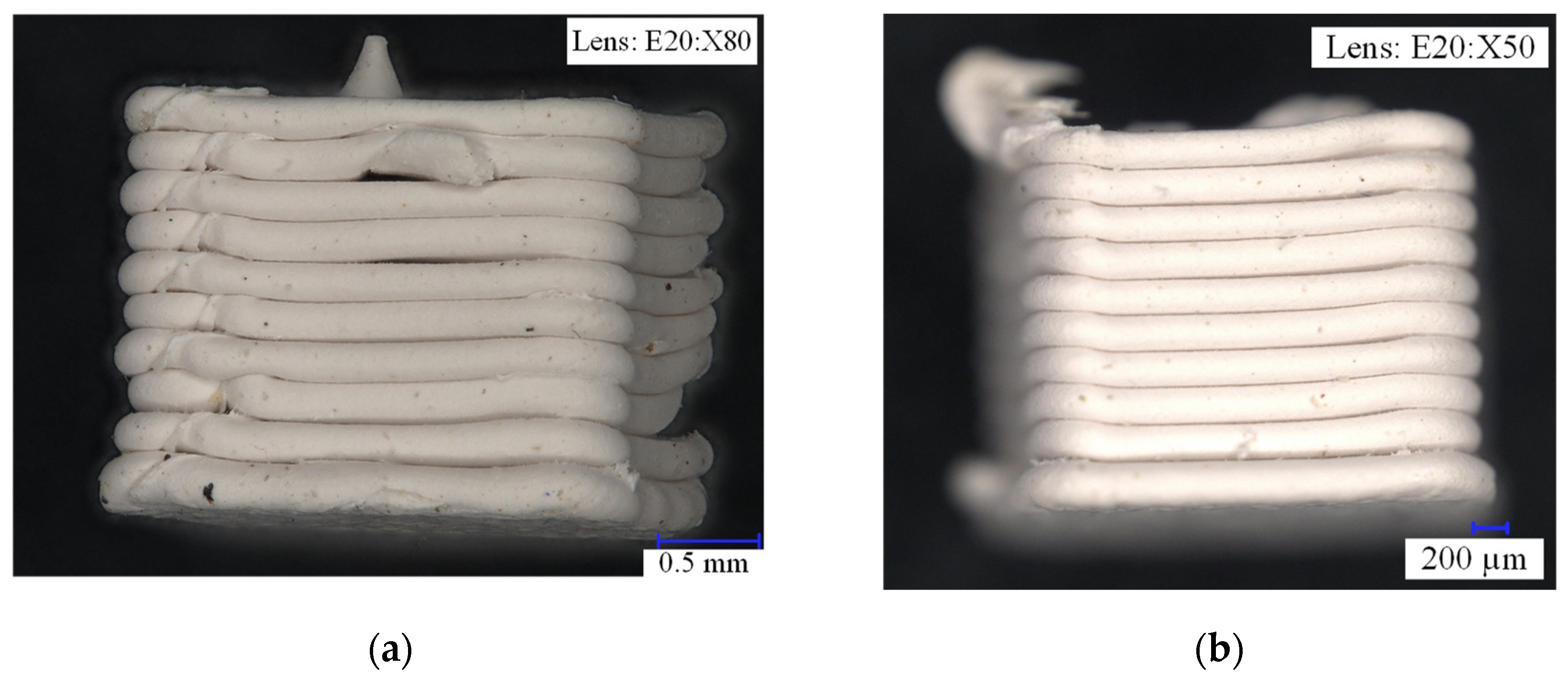 Applsci 14 09886 g023