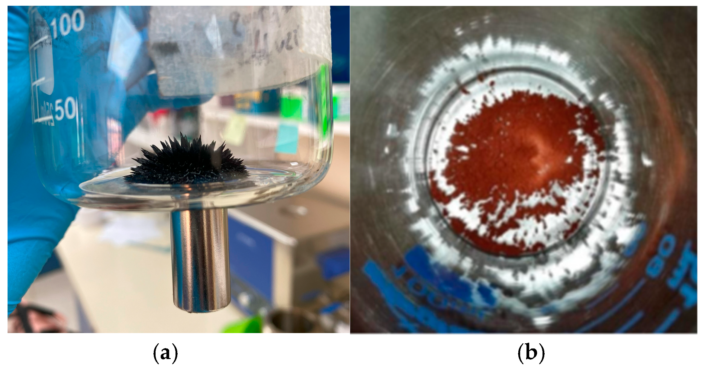 Applsci 14 09898 g009