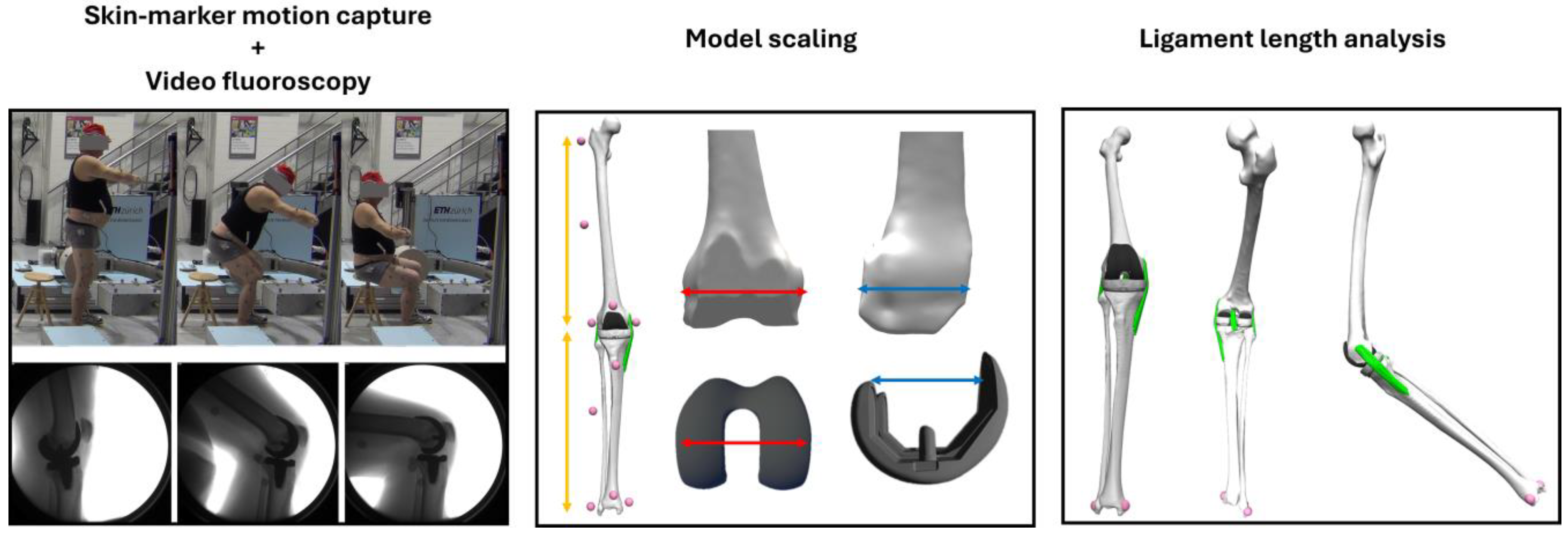 Applsci 14 09910 g001