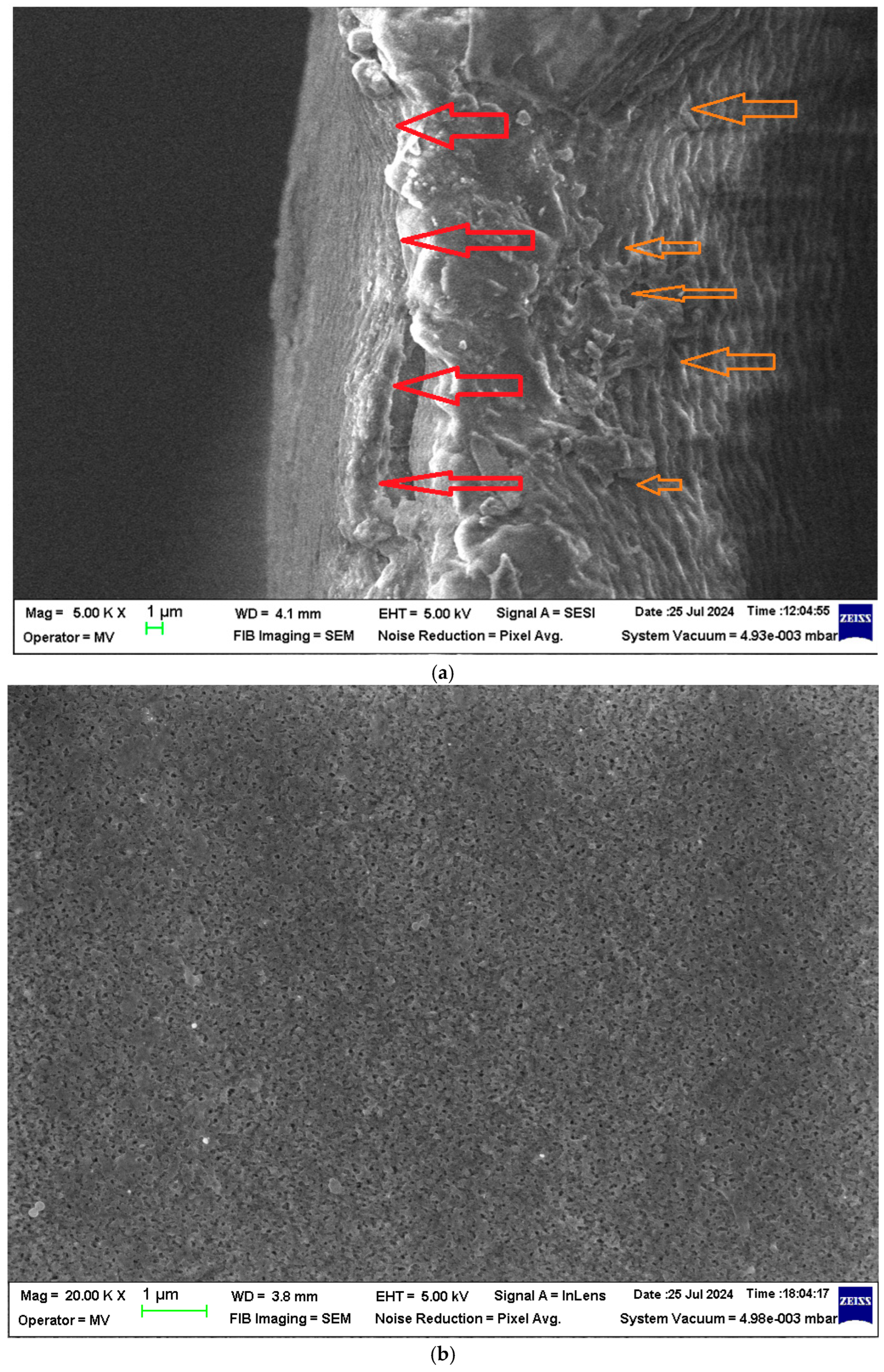 Applsci 14 09937 g004a