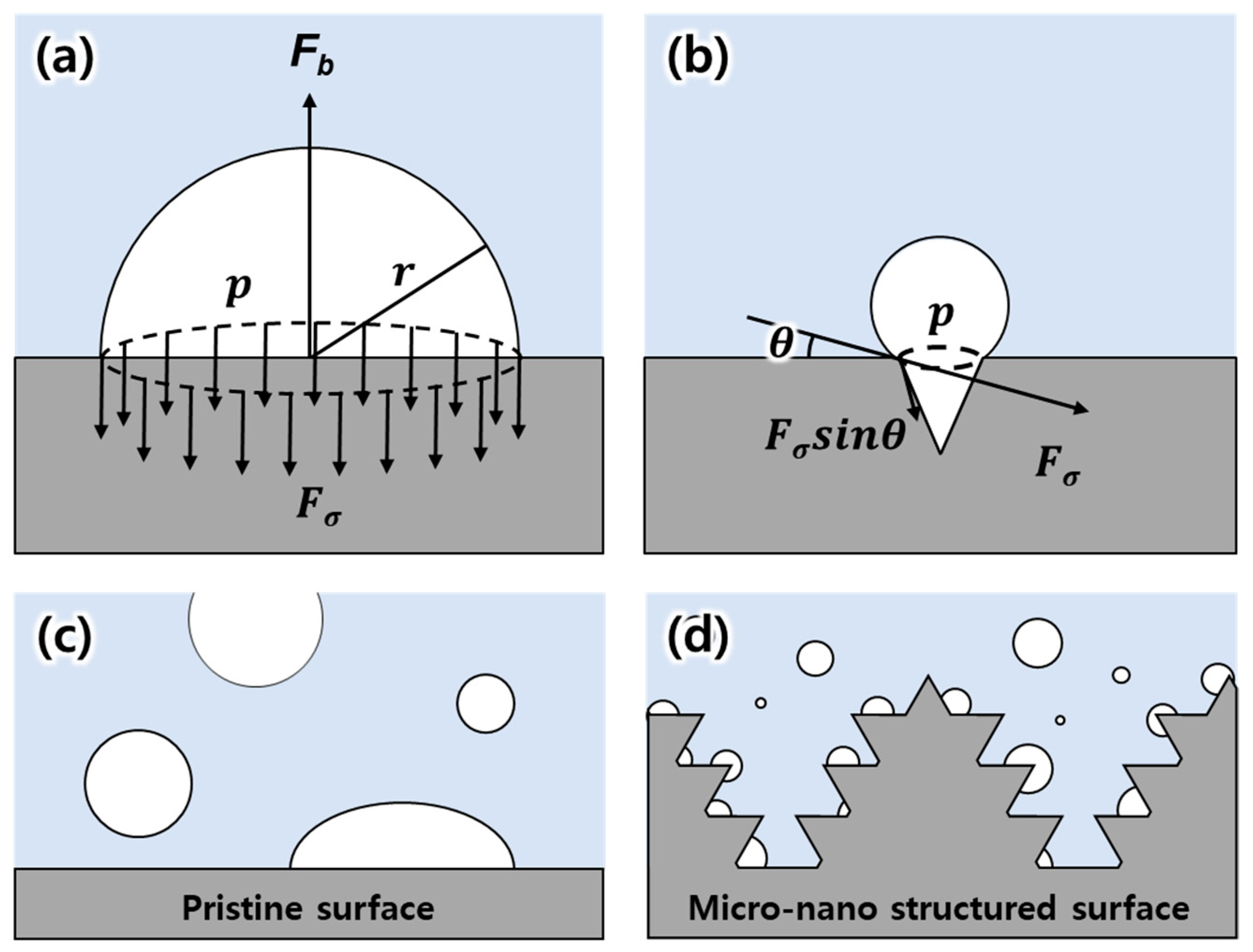 Applsci 14 09952 g004