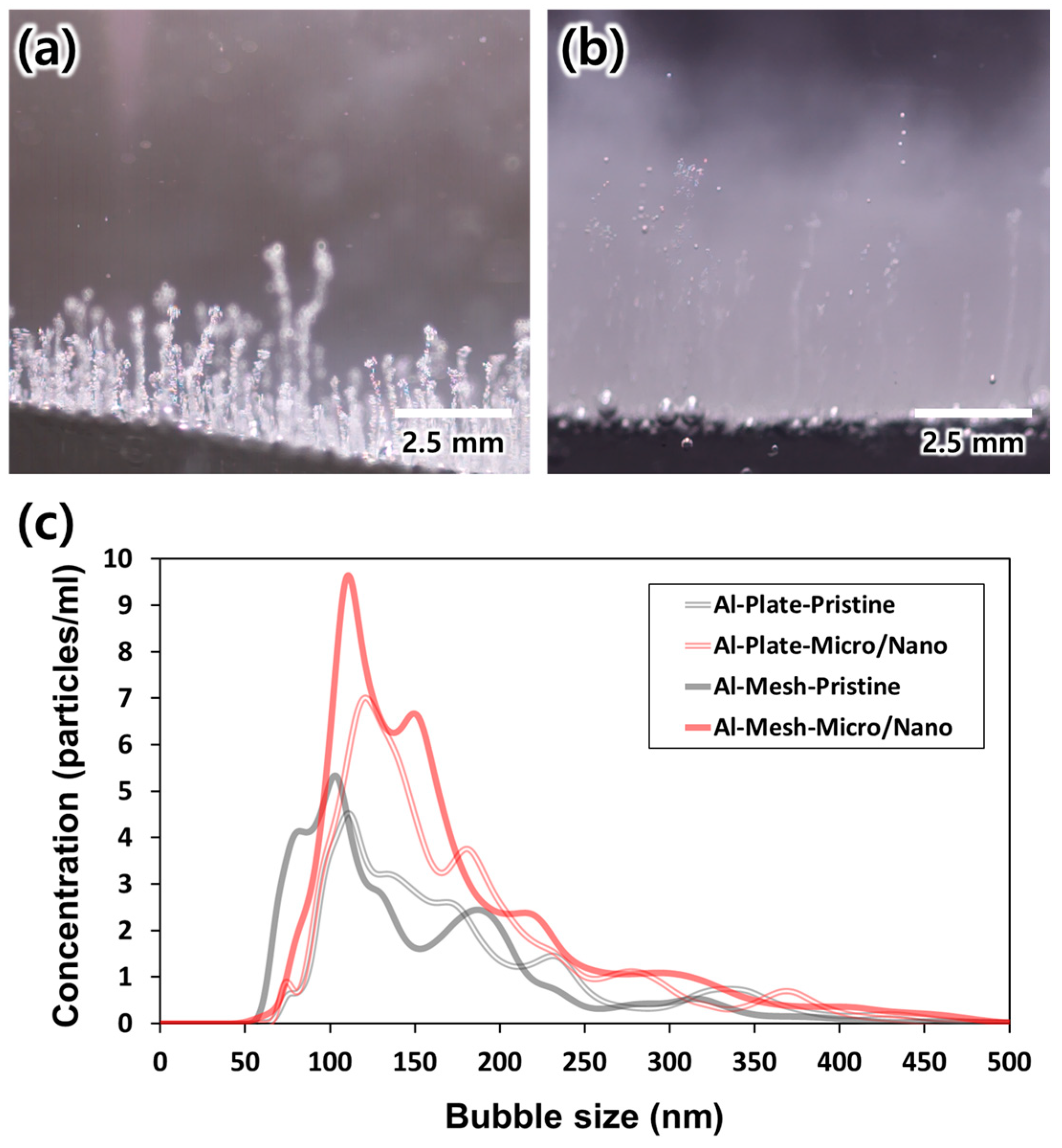Applsci 14 09952 g006