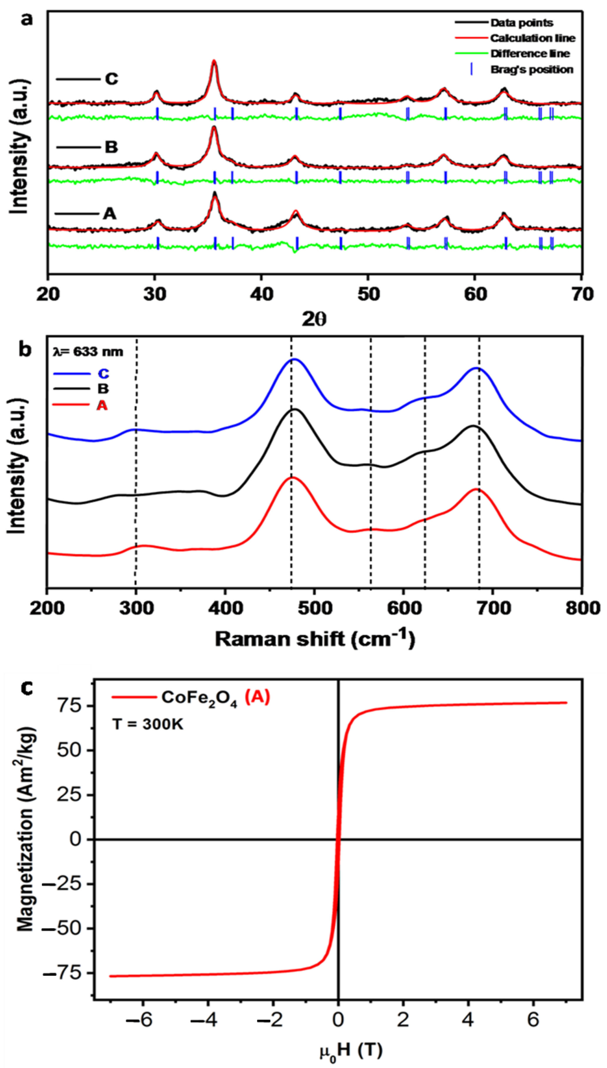 Applsci 14 09954 g002