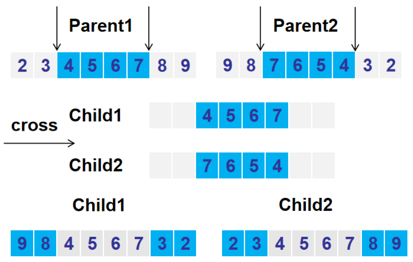 Applsci 14 09956 g001