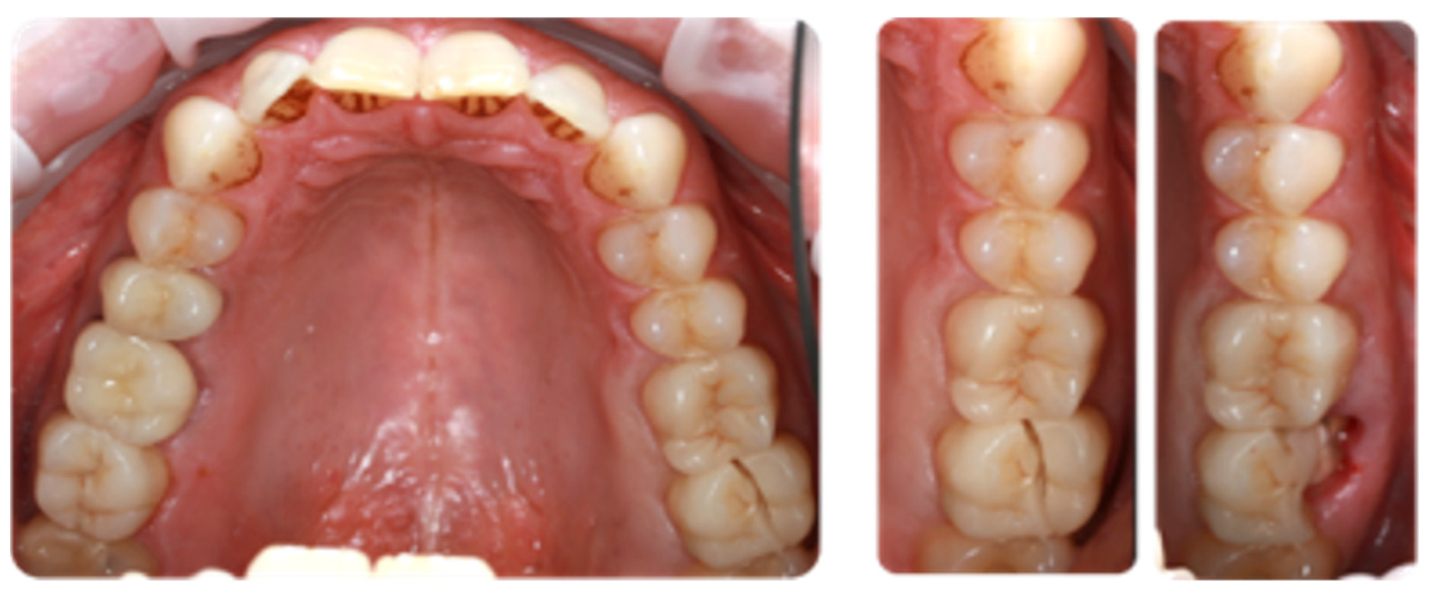 Applsci 14 09964 g002