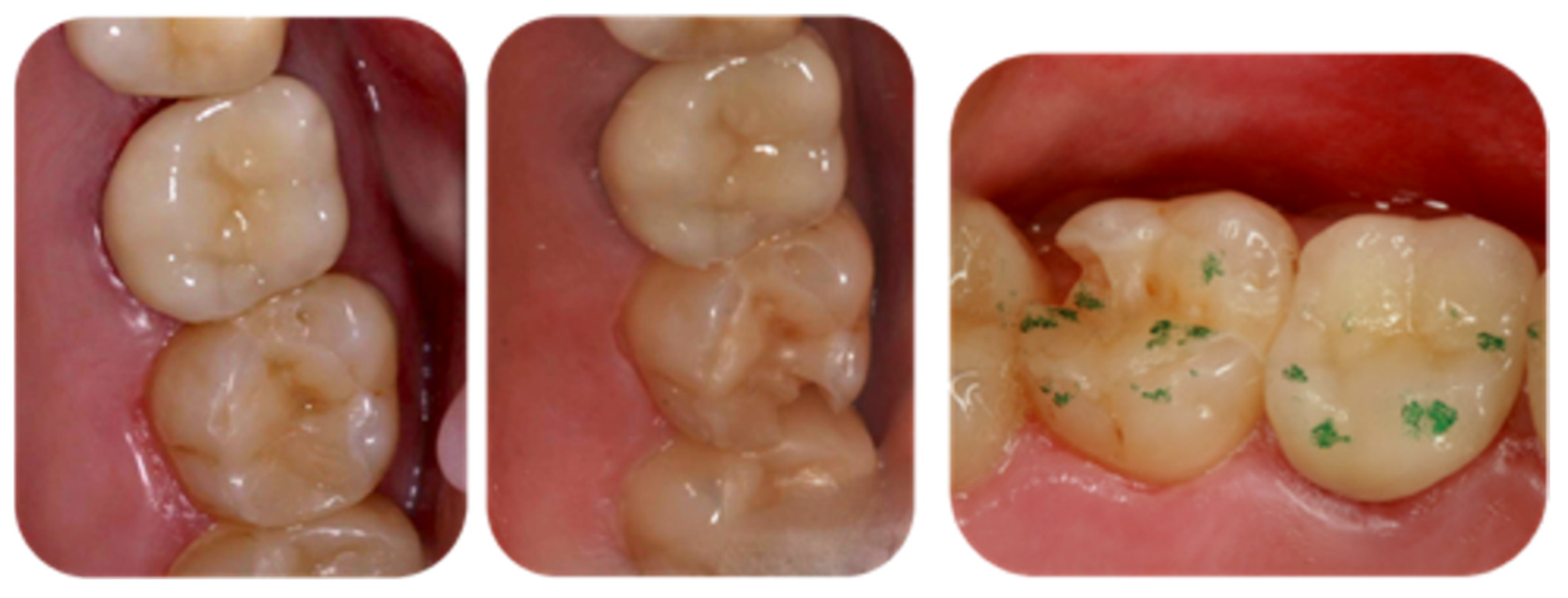 Applsci 14 09964 g003