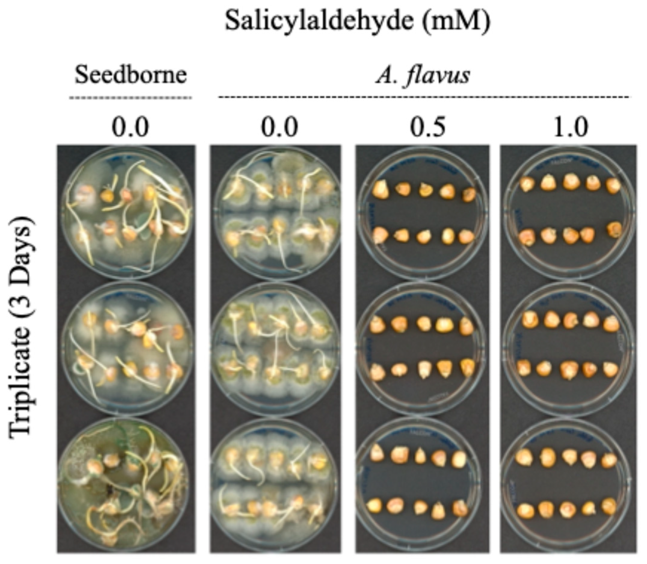 Applsci 14 10000 g003
