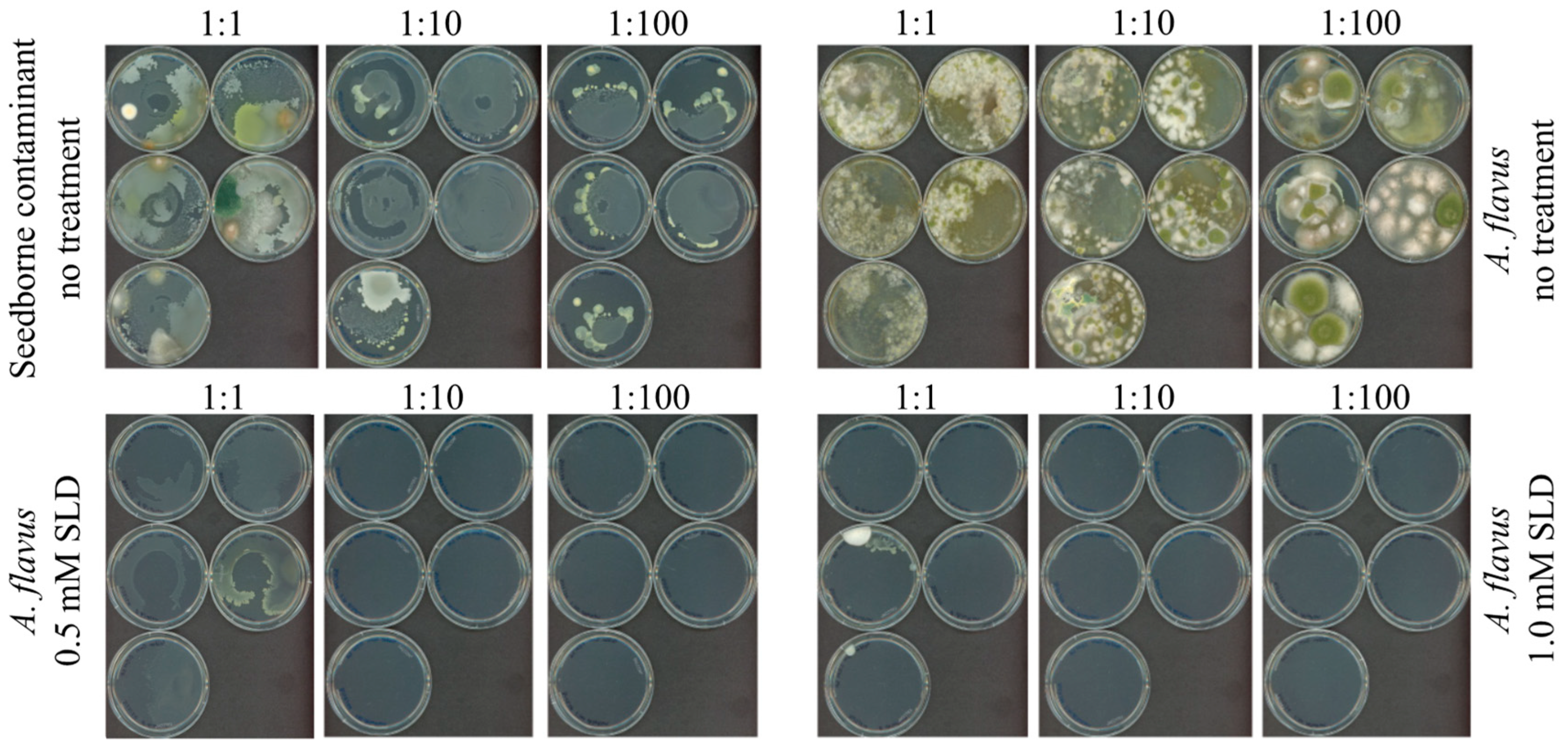 Applsci 14 10000 g004