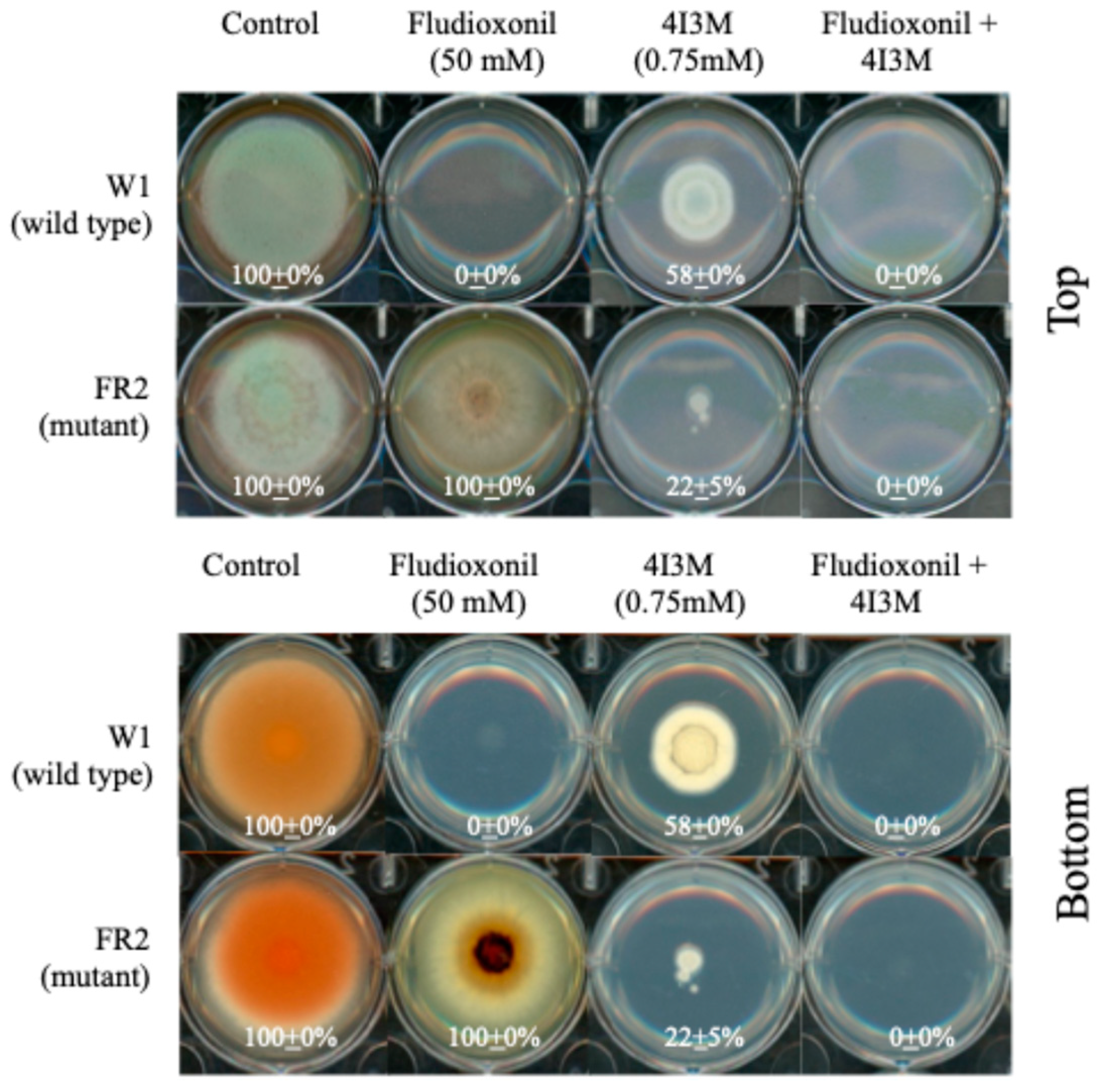 Applsci 14 10000 g006