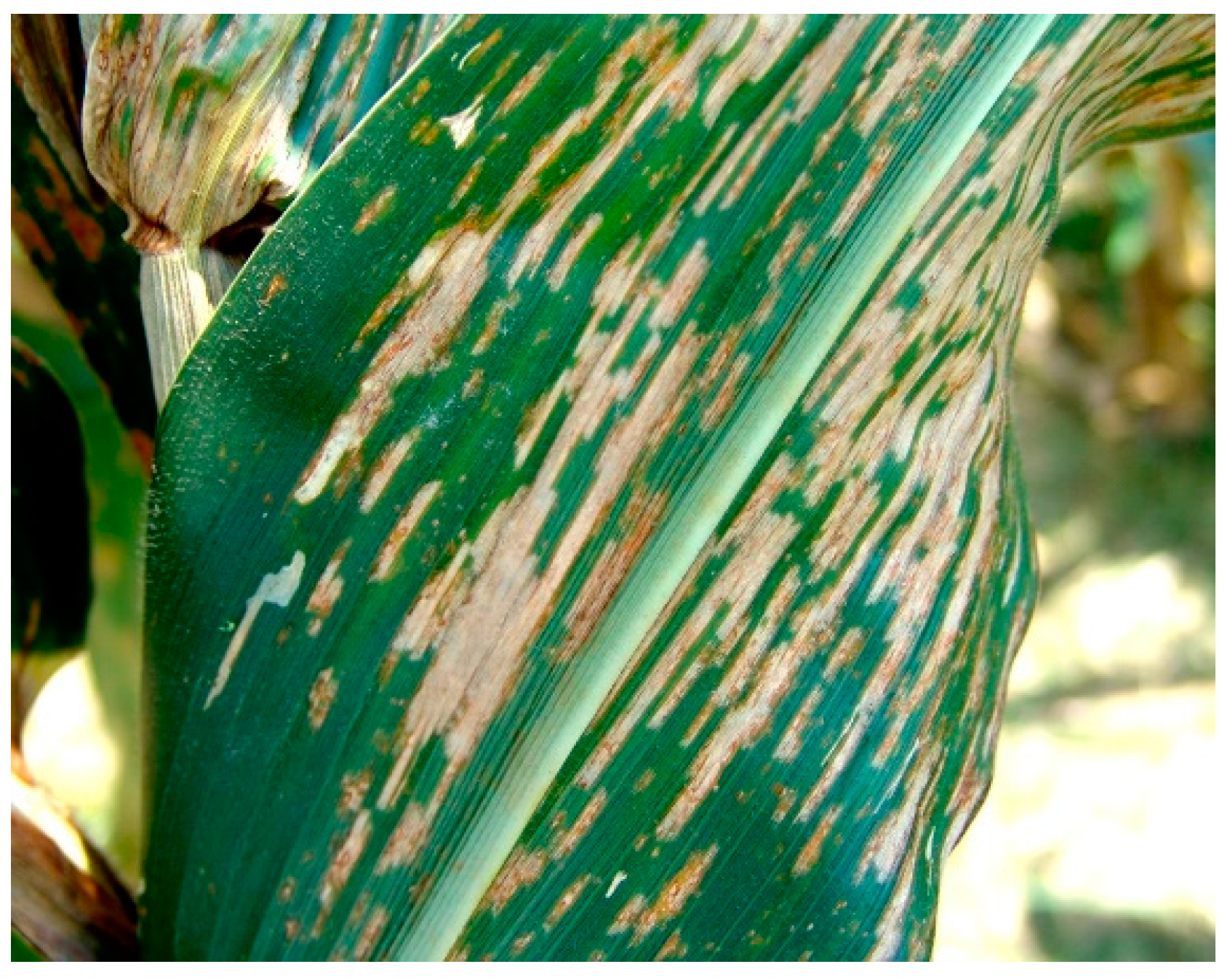 Applsci 14 10004 g002