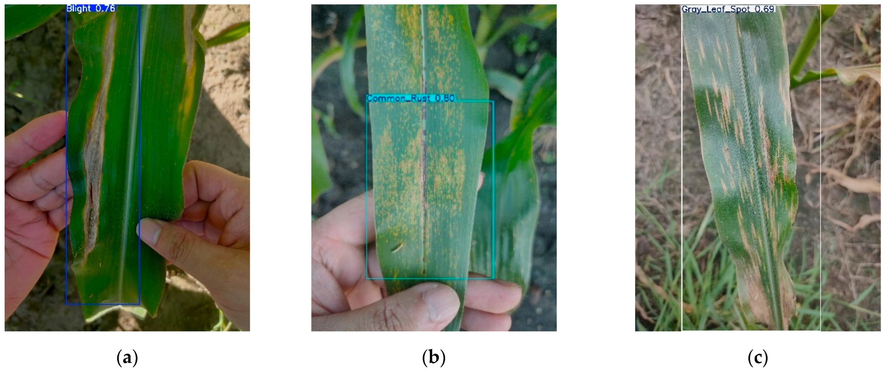 Applsci 14 10004 g020