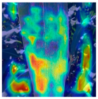 Applsci 14 10004 i008