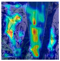 Applsci 14 10004 i009