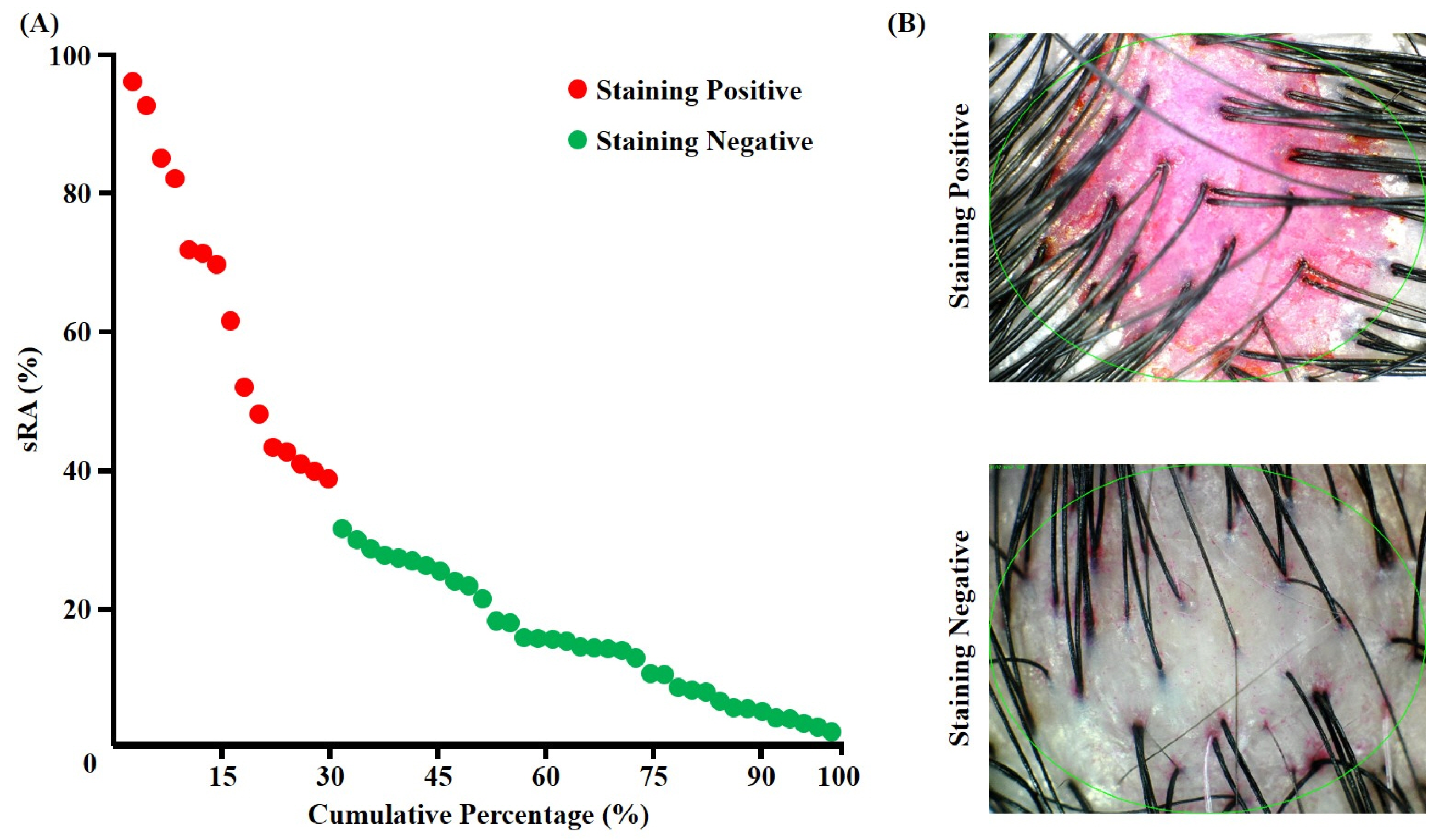 Applsci 14 10008 g001