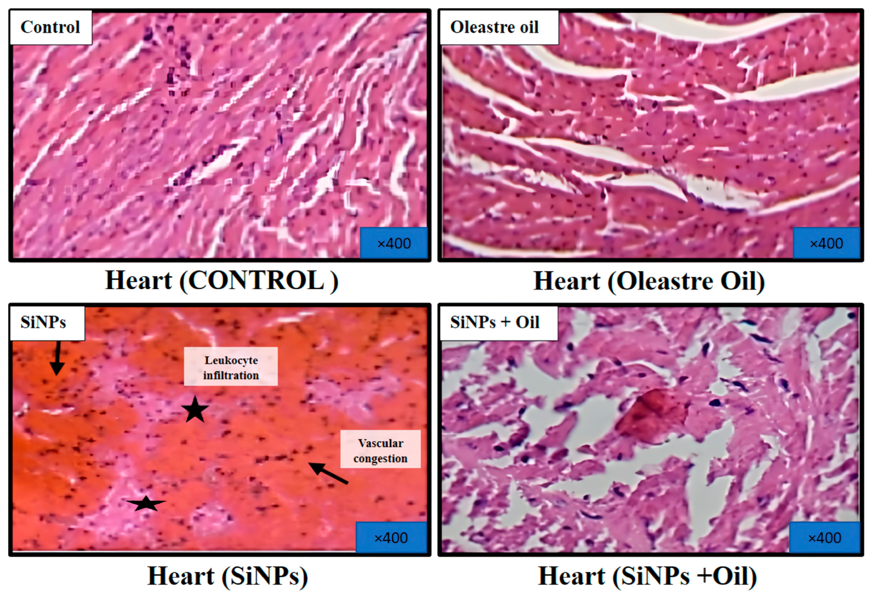 Applsci 14 10046 g009
