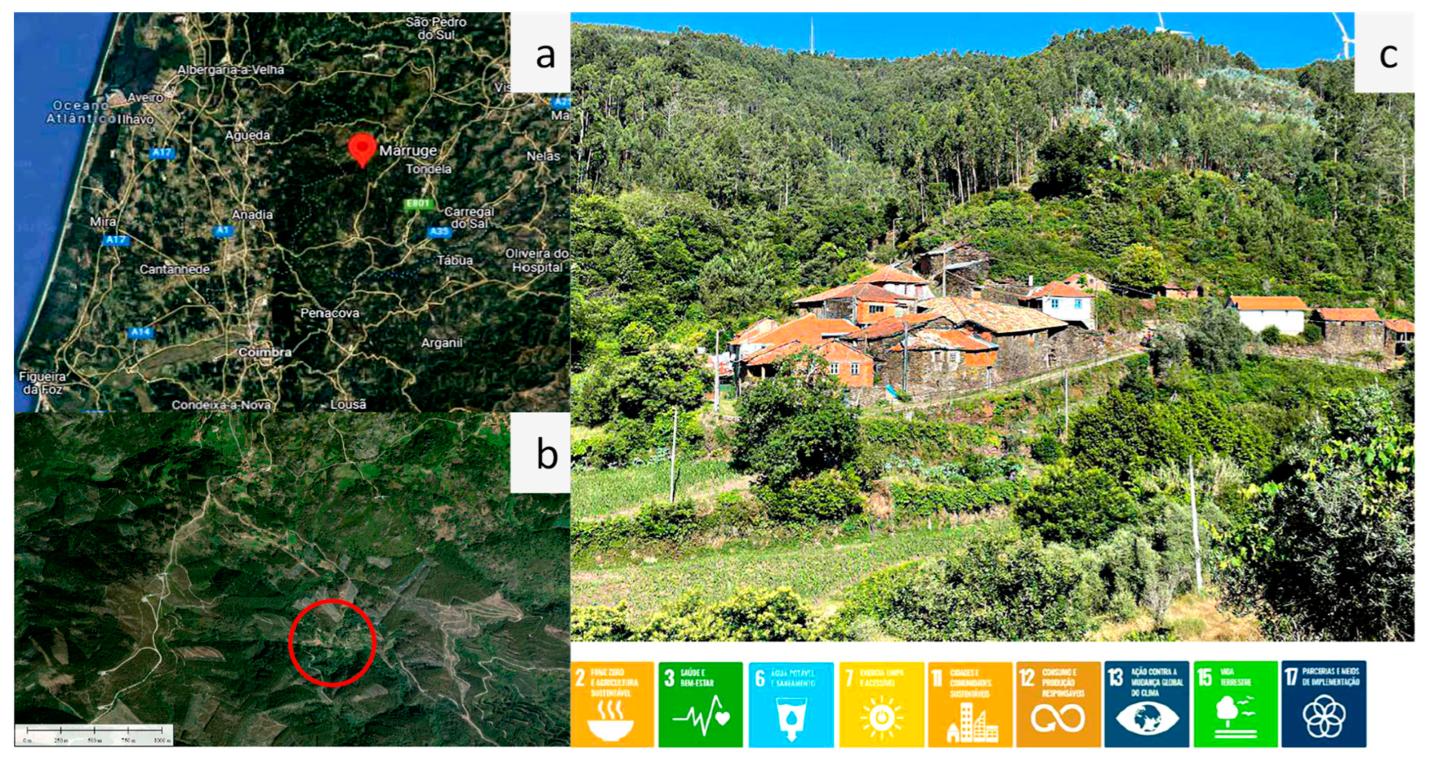 Applsci 14 10052 g006