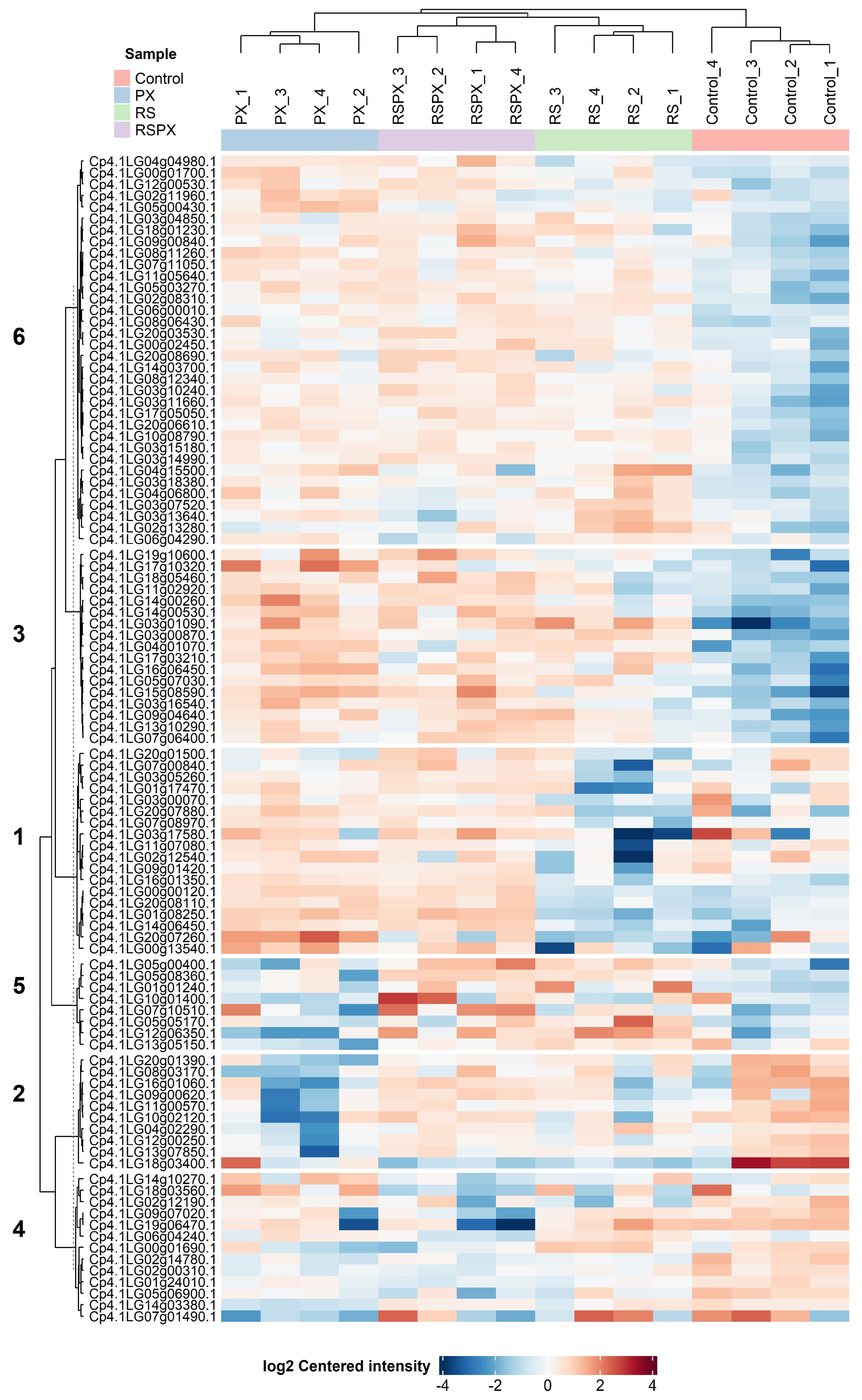 Applsci 14 10061 g001