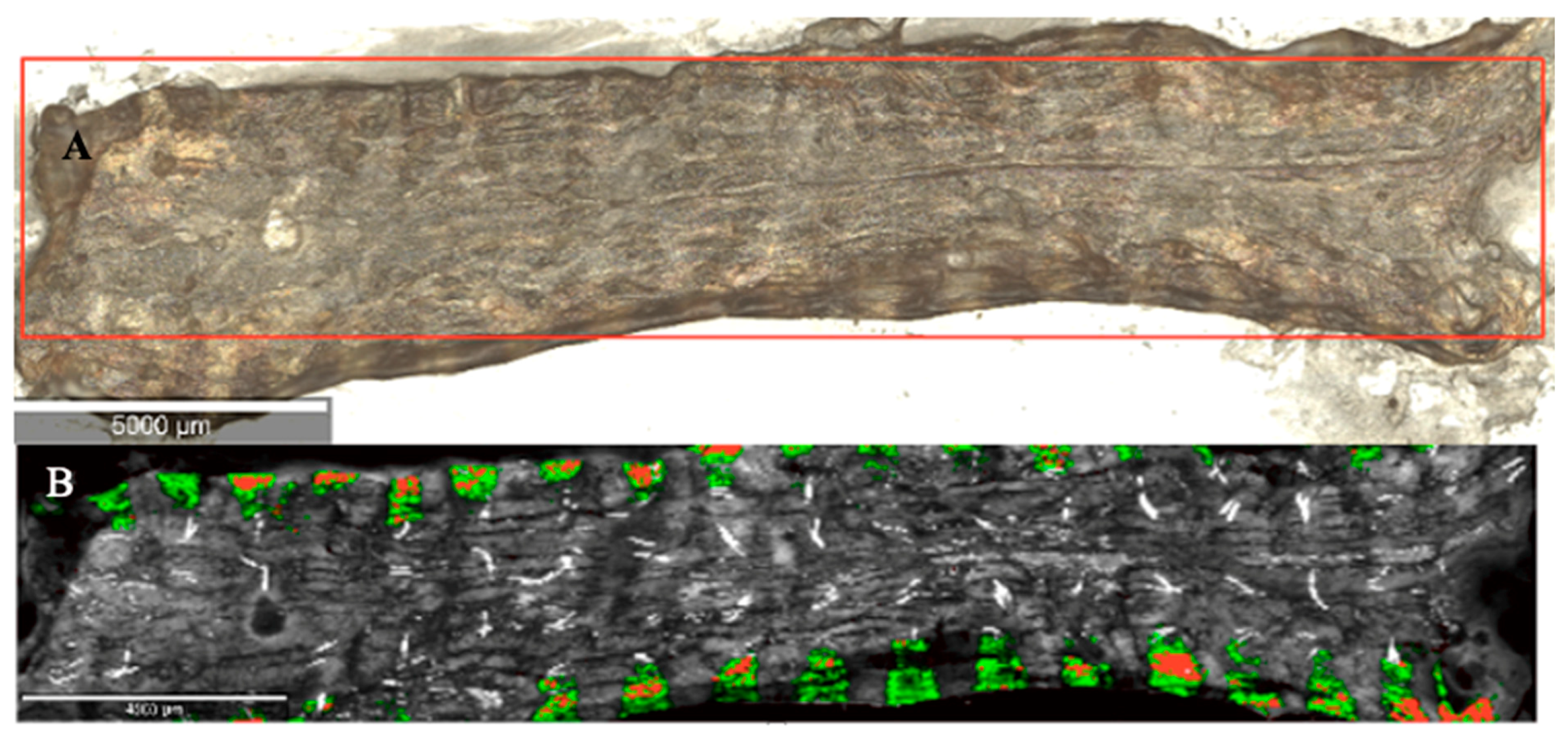 Applsci 14 10117 g004