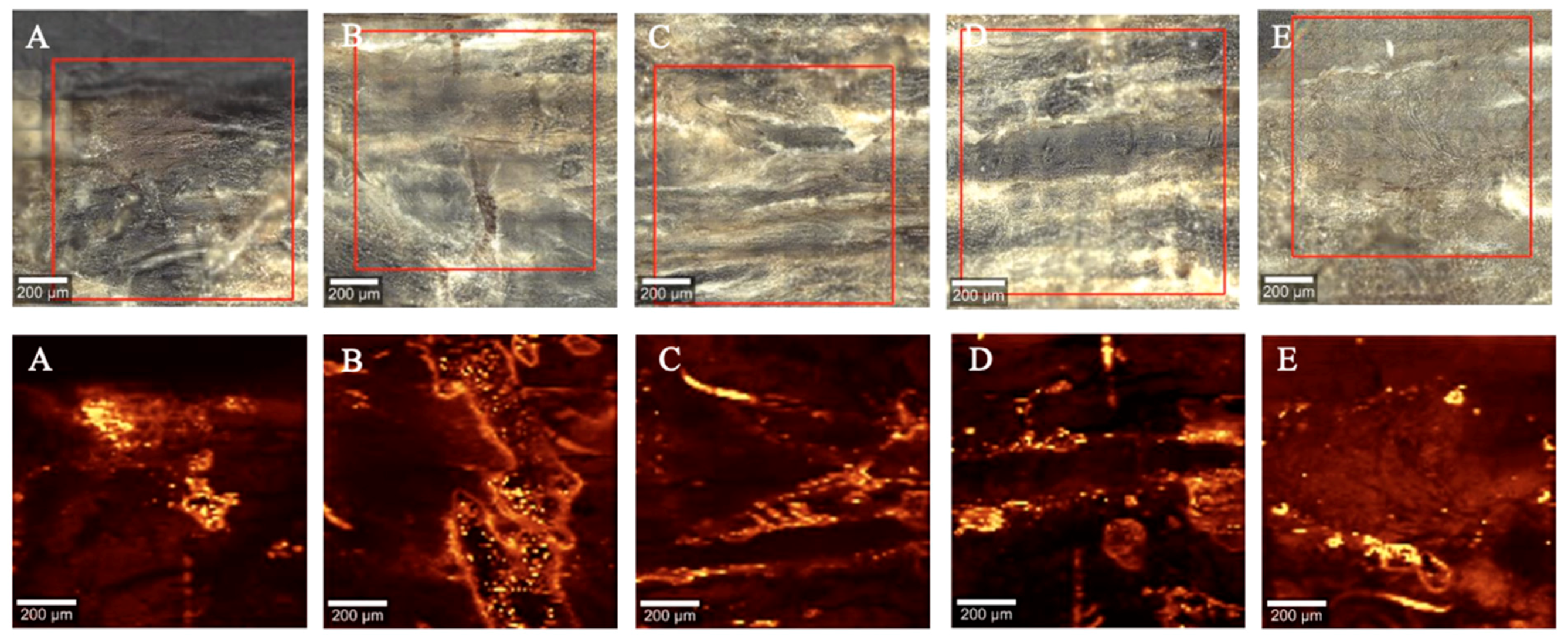 Applsci 14 10117 g006