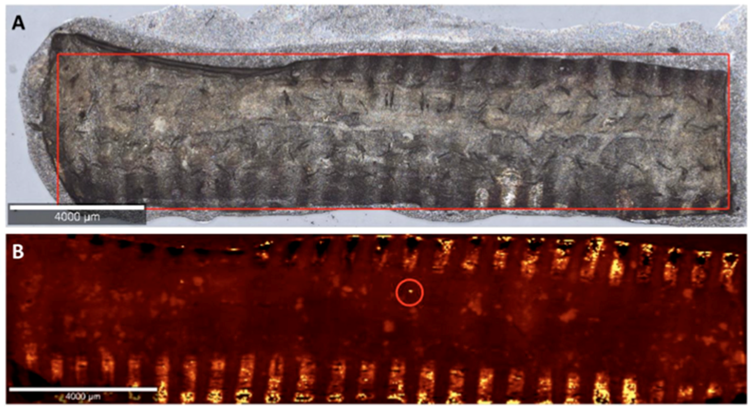 Applsci 14 10117 g007