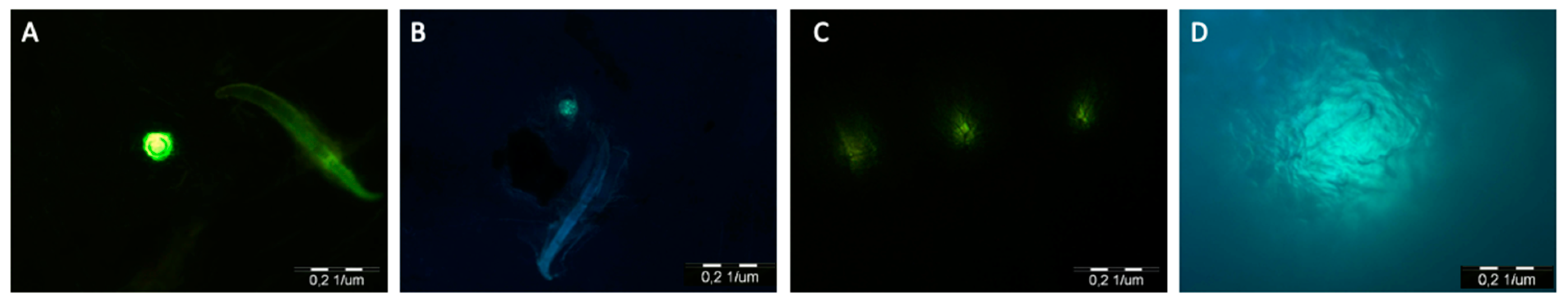 Applsci 14 10117 g011