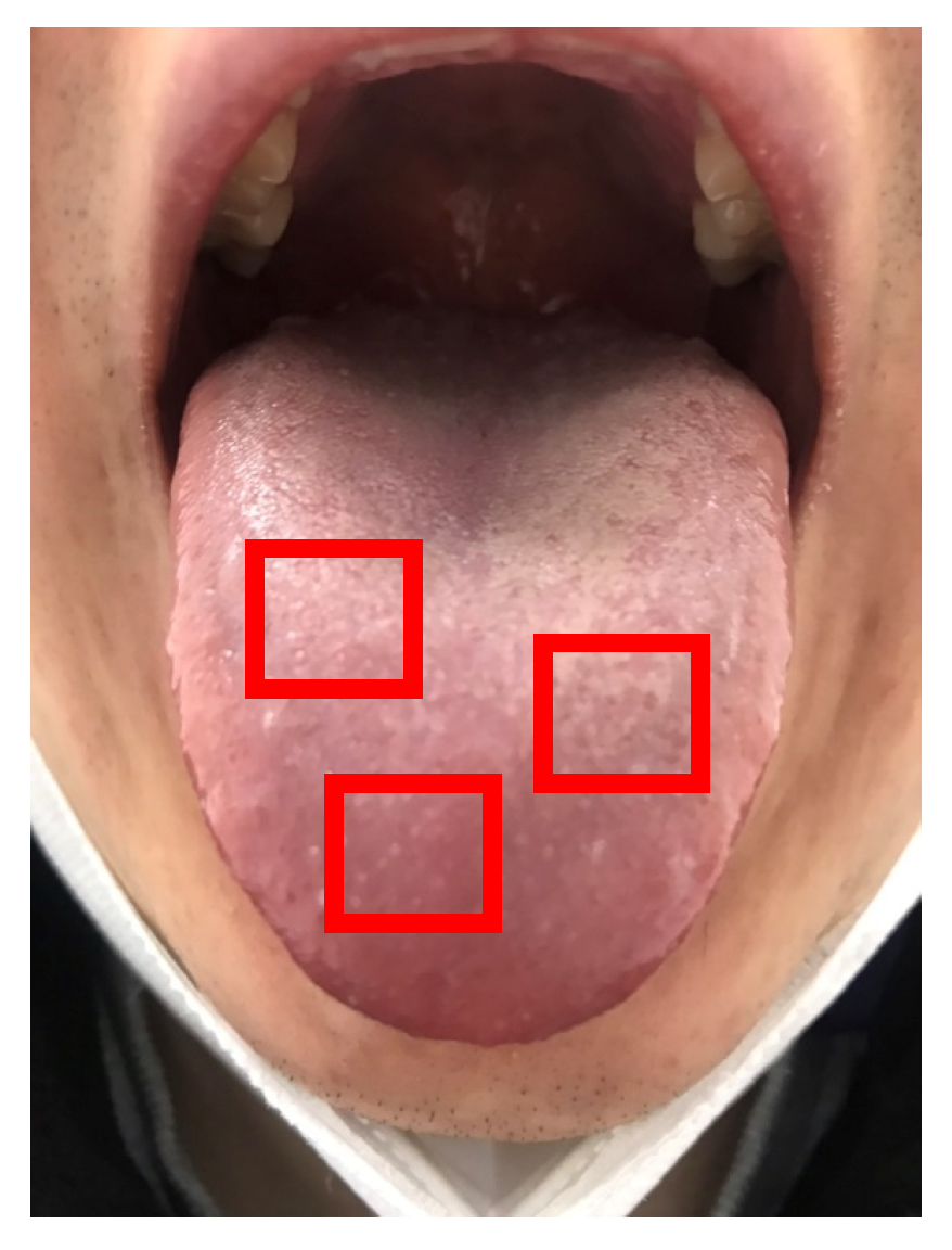 Applsci 14 10118 g003 Applsci 14 10118 g003