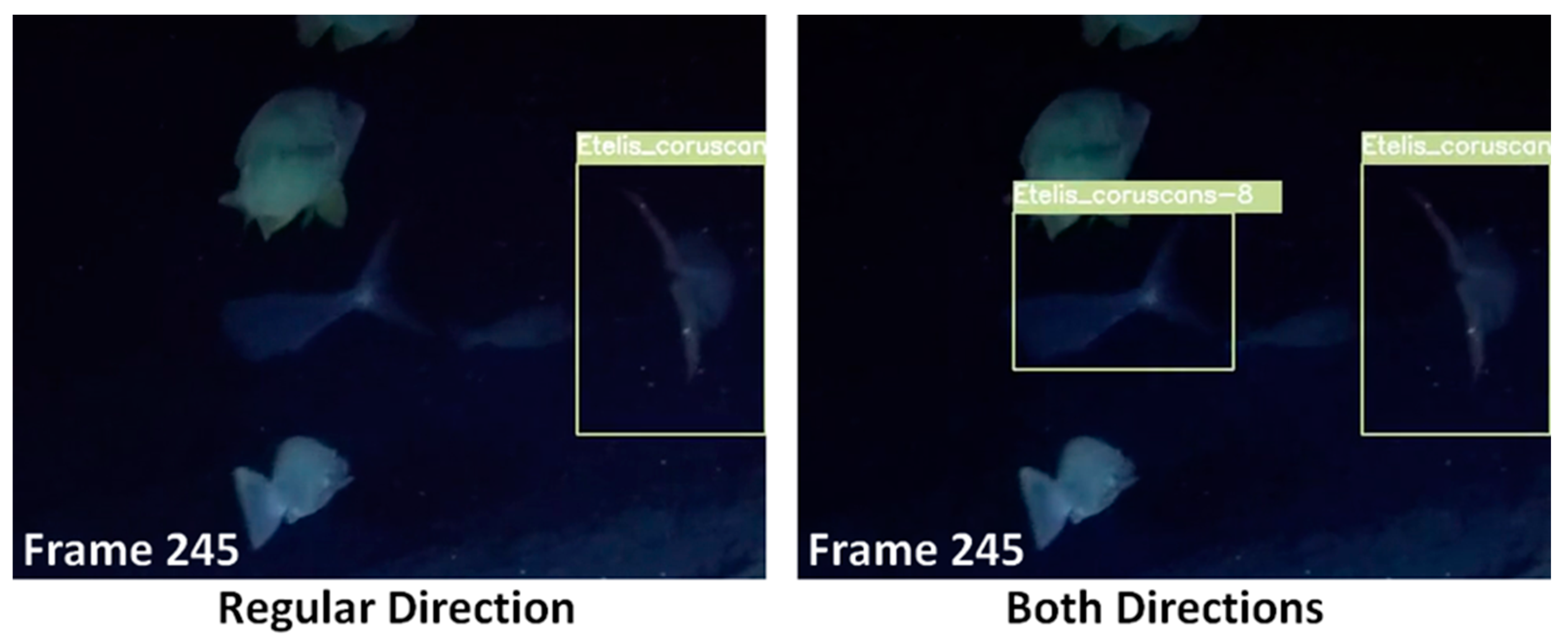 Applsci 14 10122 g005