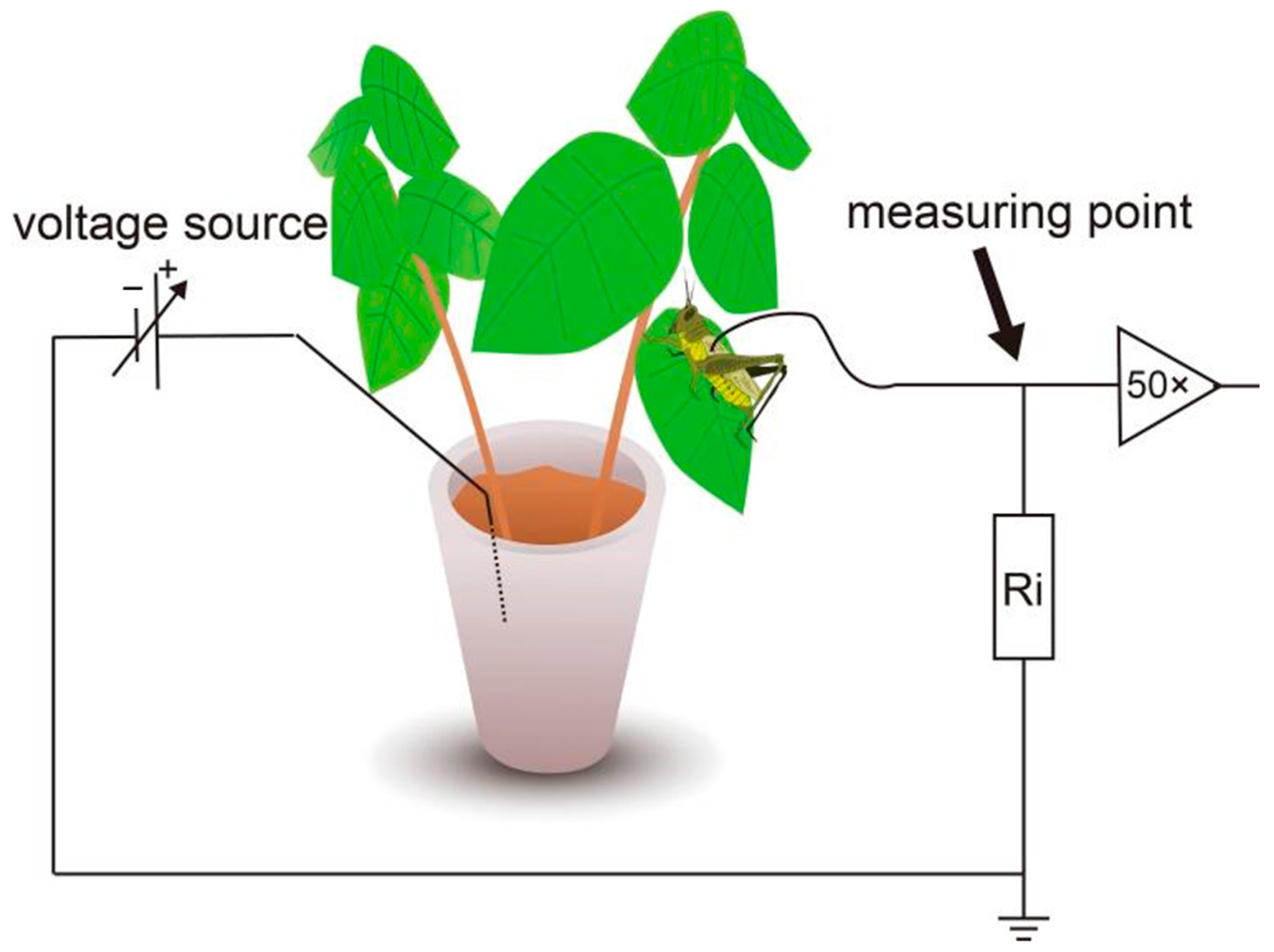 Applsci 14 10127 g001