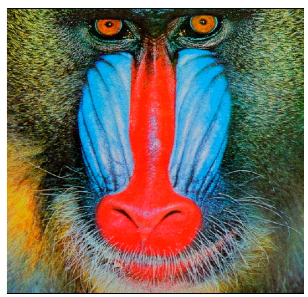 Applsci 14 10174 g009