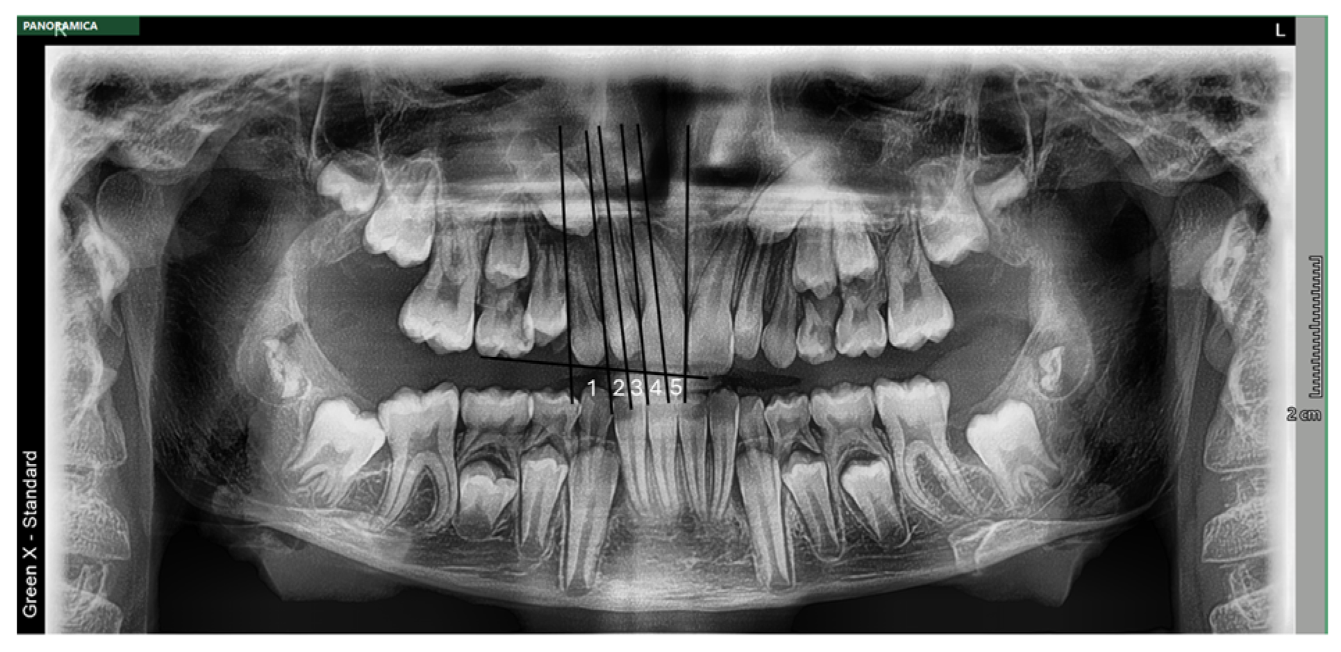 Applsci 14 10182 g002