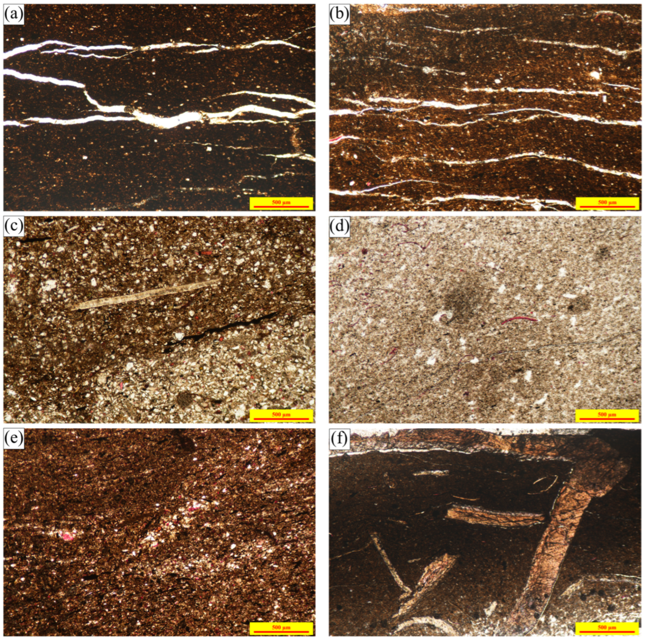 Applsci 14 10192 g003