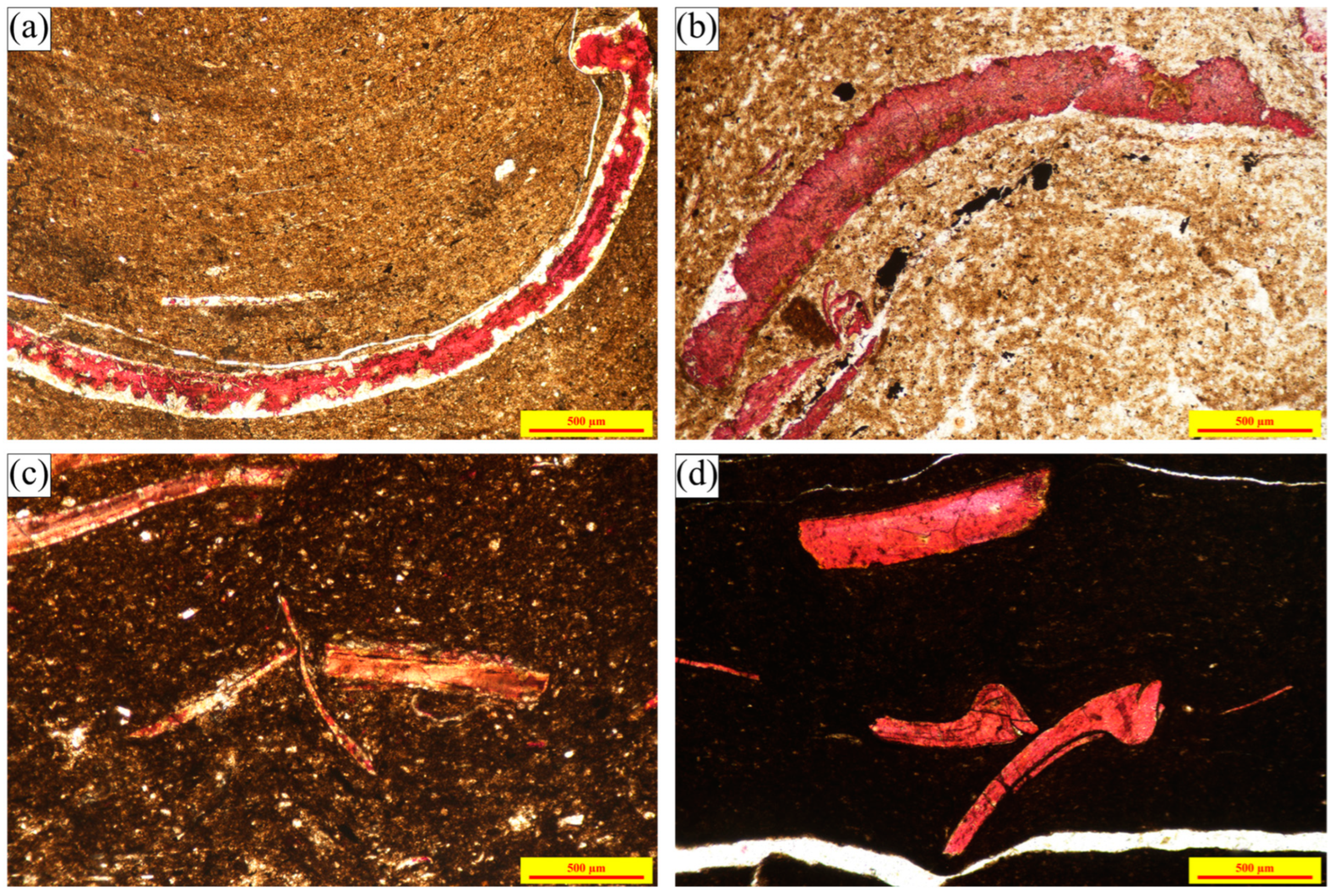 Applsci 14 10192 g007